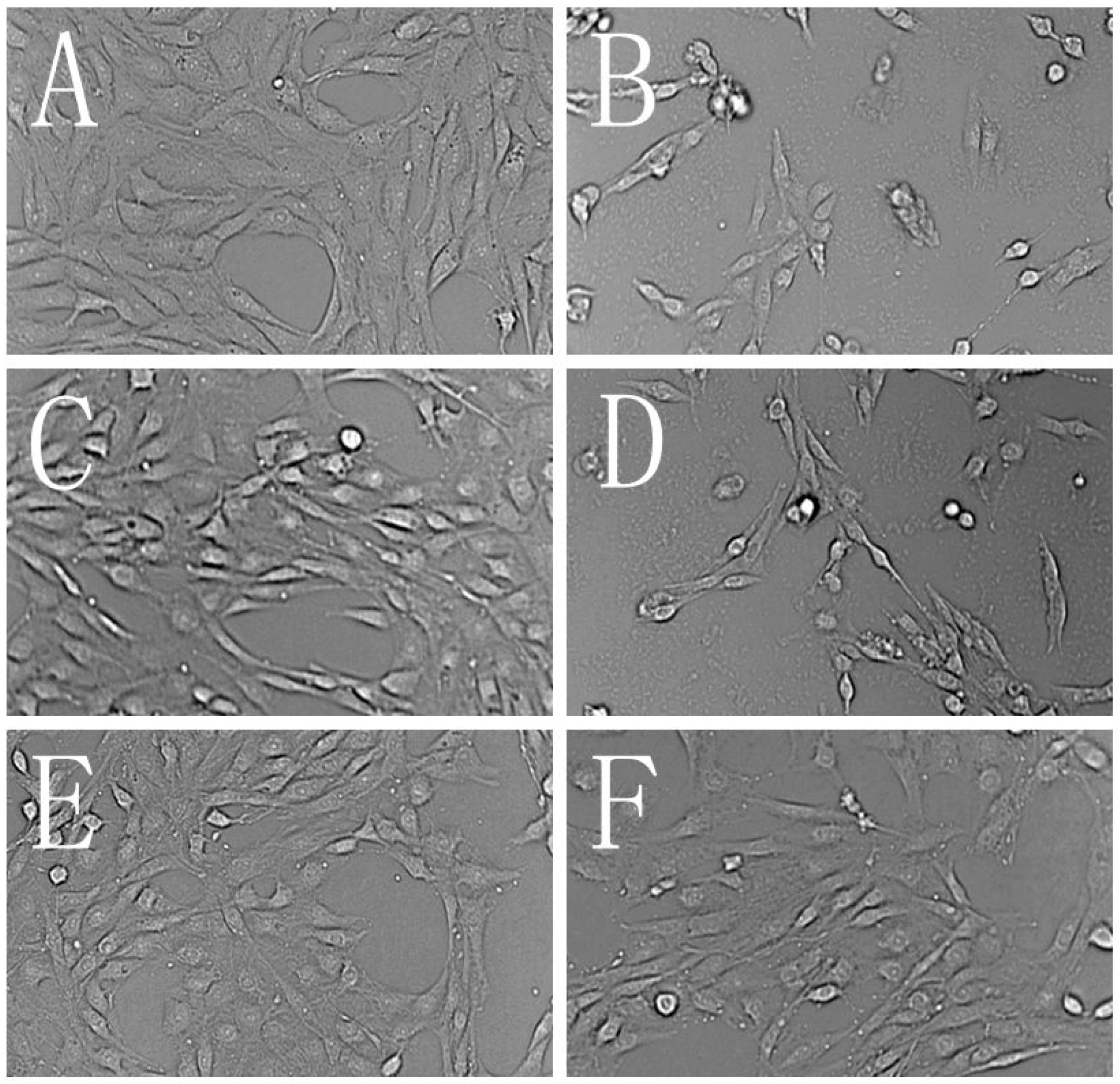 Molecules 19 09101 g003