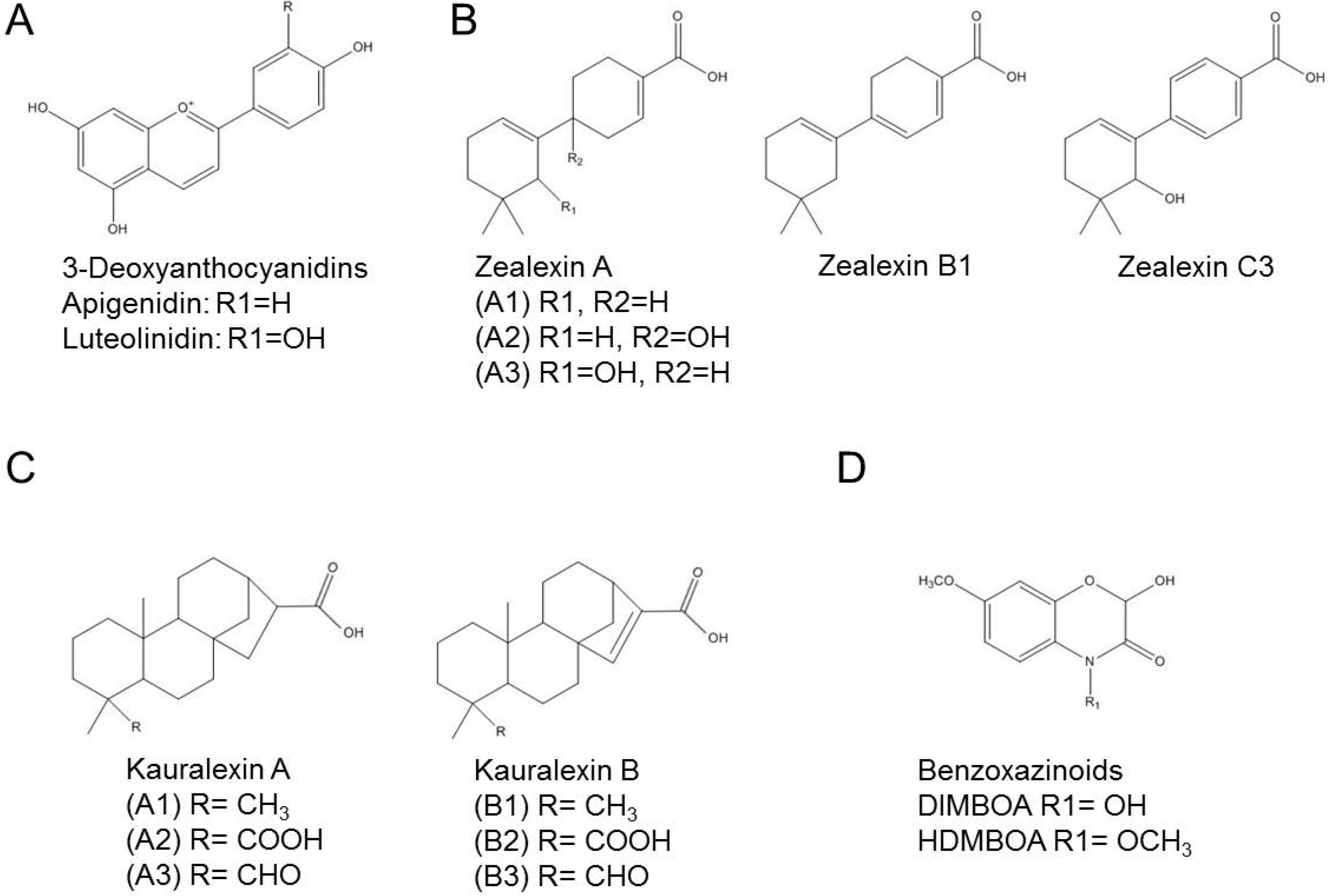 Molecules 19 09114 g001
