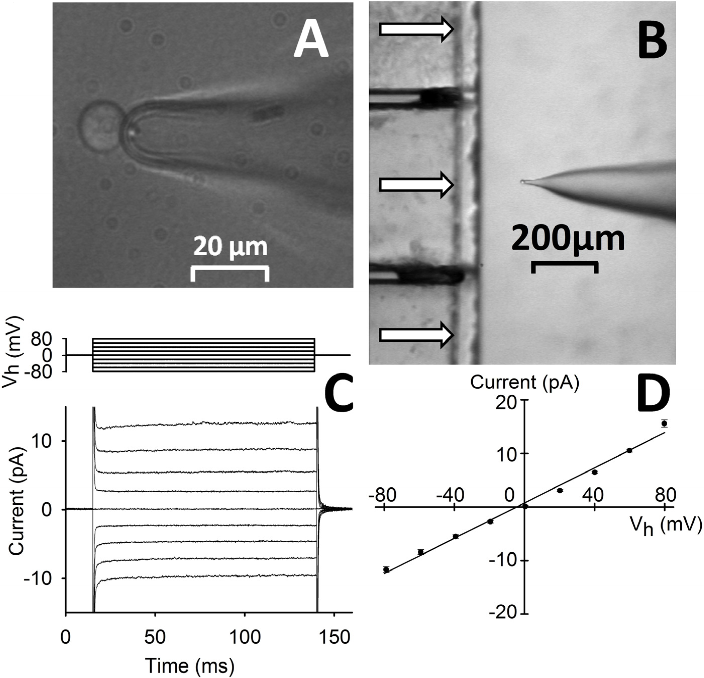 Molecules 19 09228 g001 550