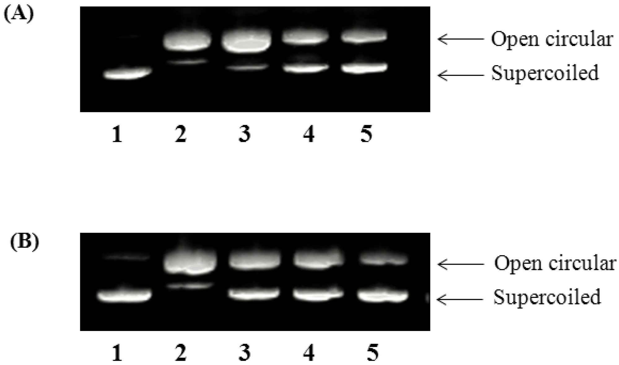 Molecules 19 09403 g002