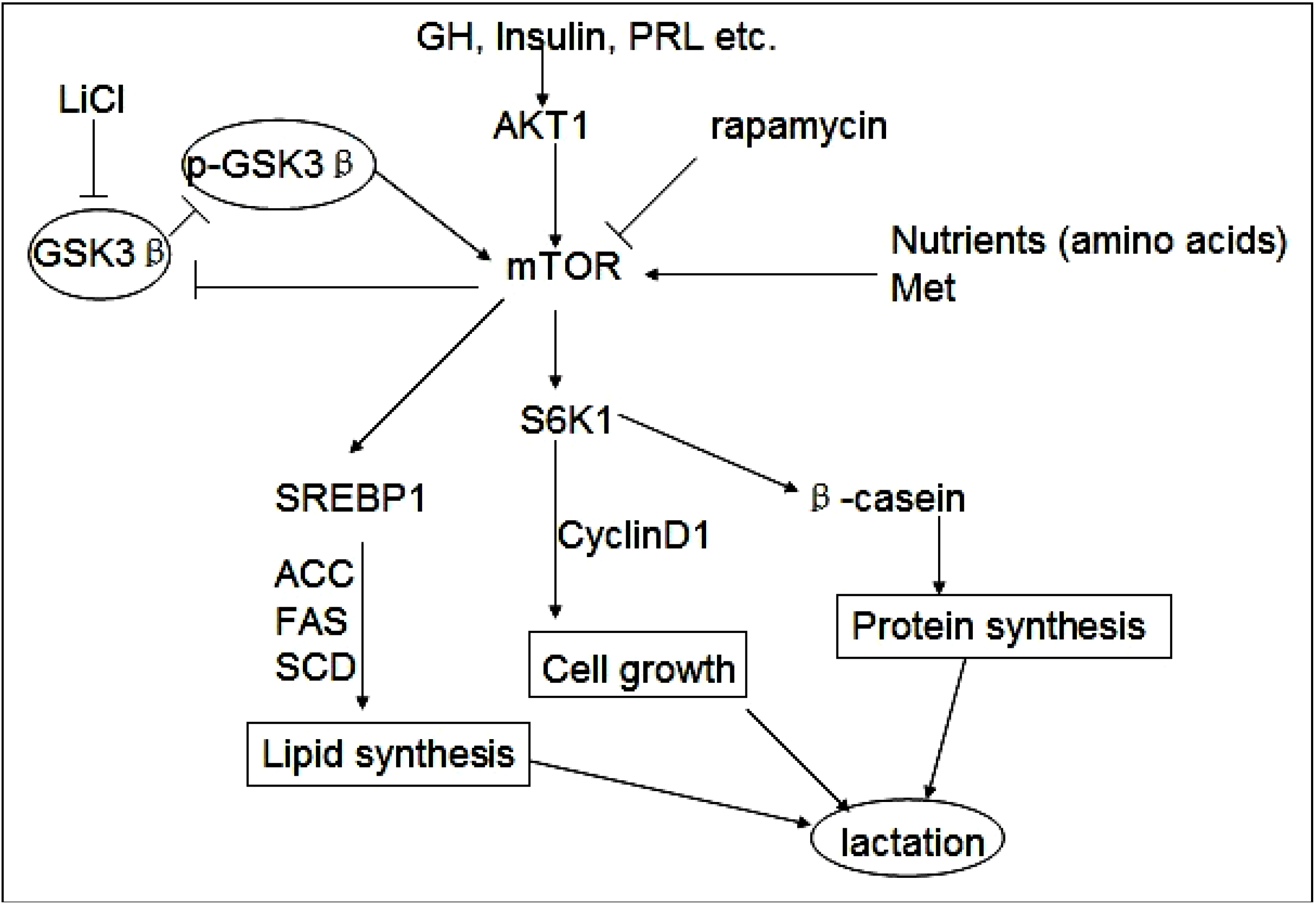 Molecules 19 09435 g005 550