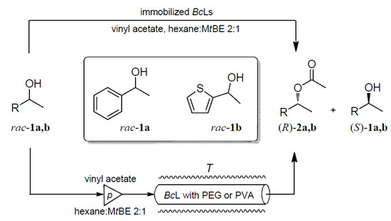 Molecules Free Full Text Additives Enhancing The Catalytic Properties Of Lipase From Burkholderia Cepacia Immobilized On Mixed Function Grafted Mesoporous Silica Gel Html Molecules Free Full Text Additives Enhancing The Catalytic Properties Of Lipase From Burkholderia Cepacia Immobilized On Mixed Function Grafted Mesoporous Silica Gel Html