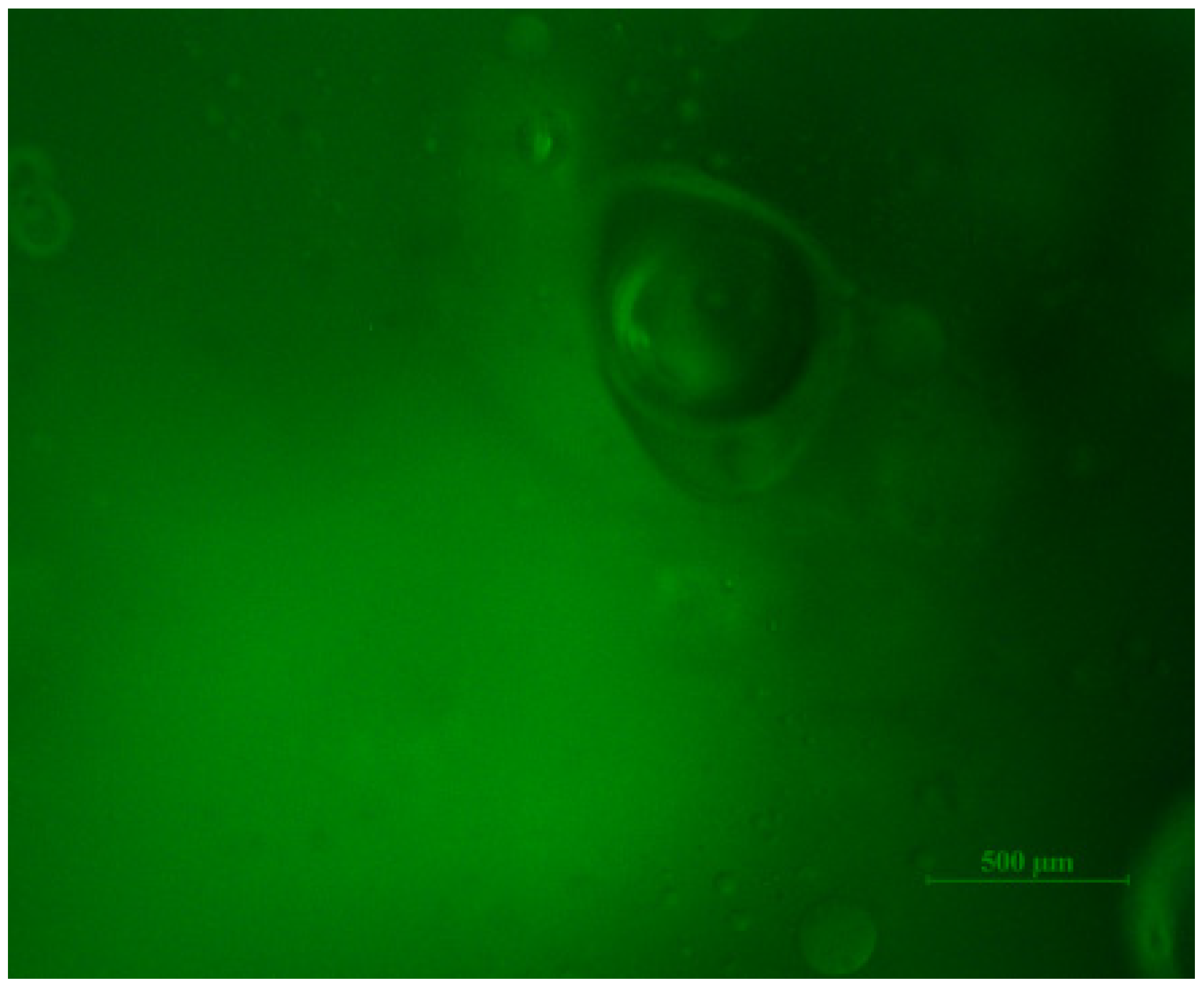 Molecules 19 09850 g006