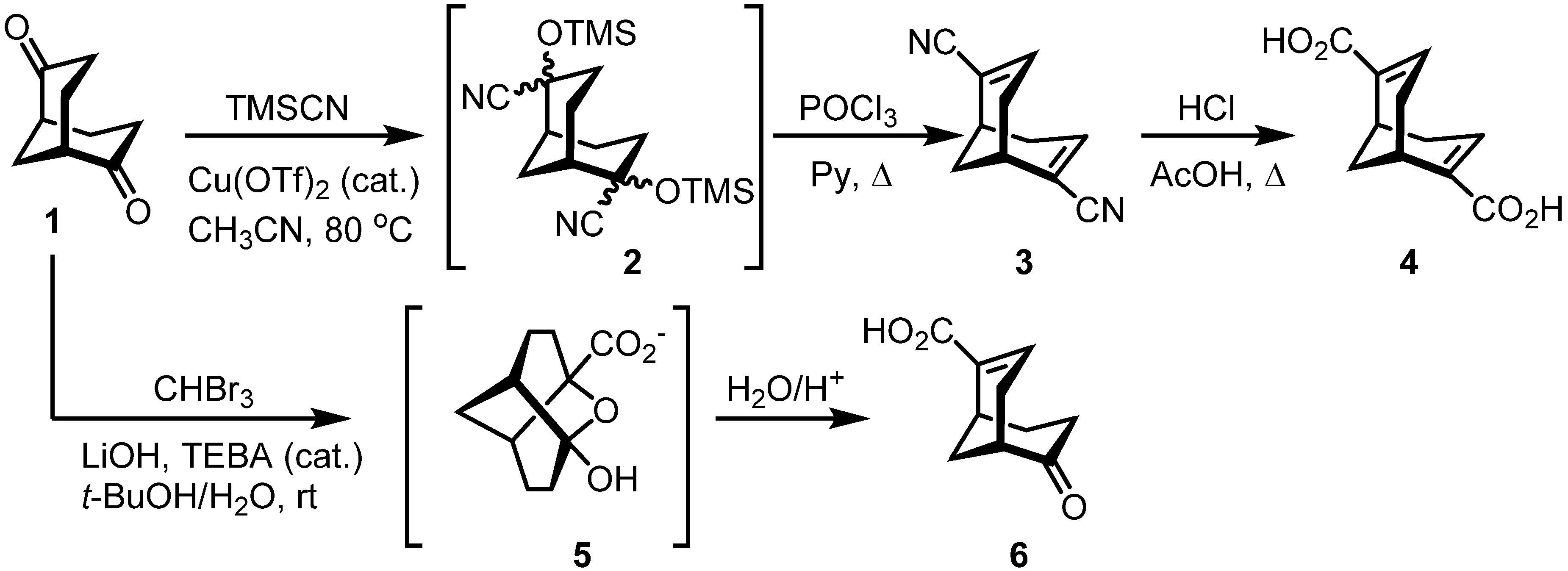 Molecules 19 09893 g006