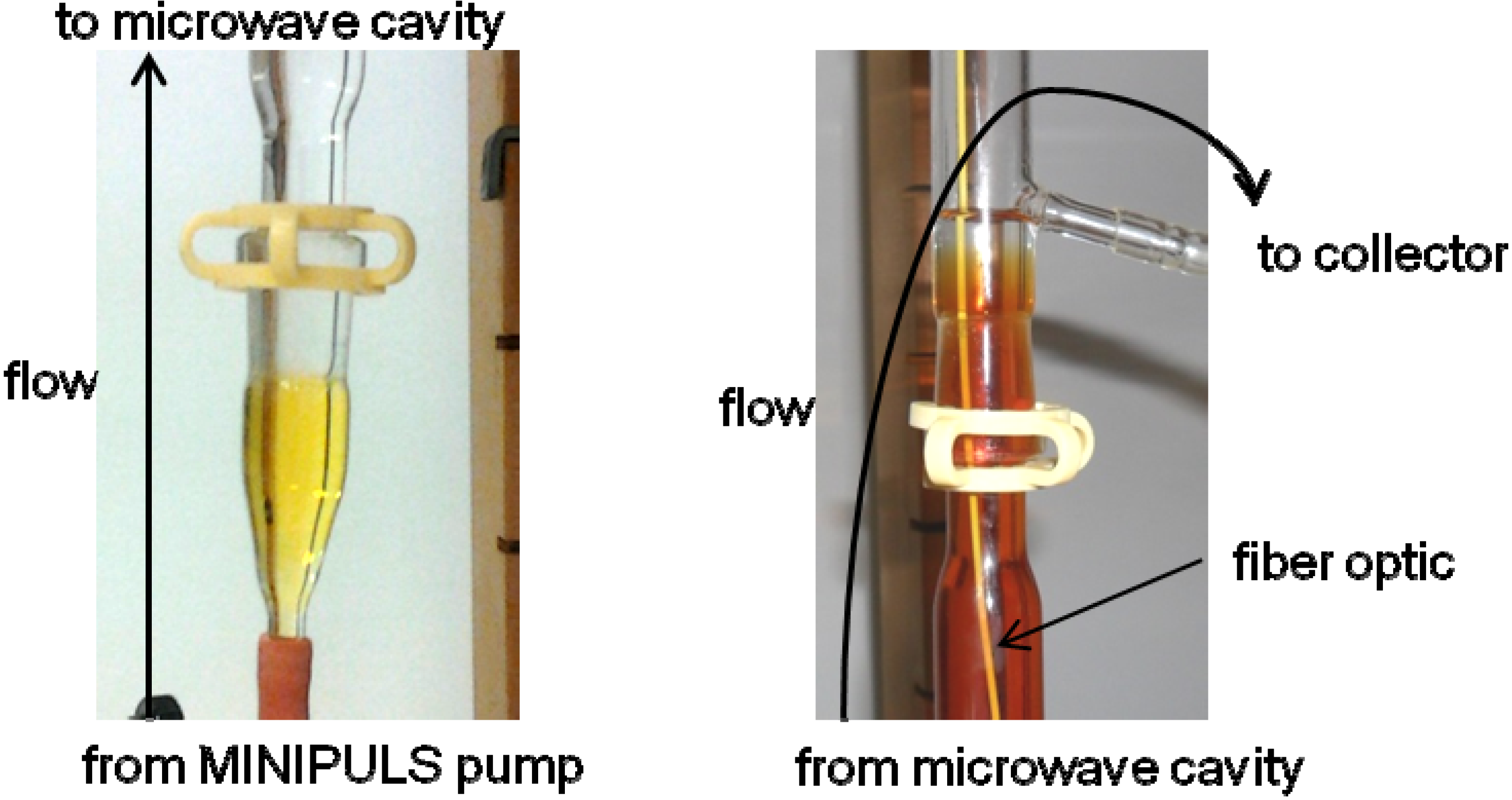 Molecules 19 09986 g007