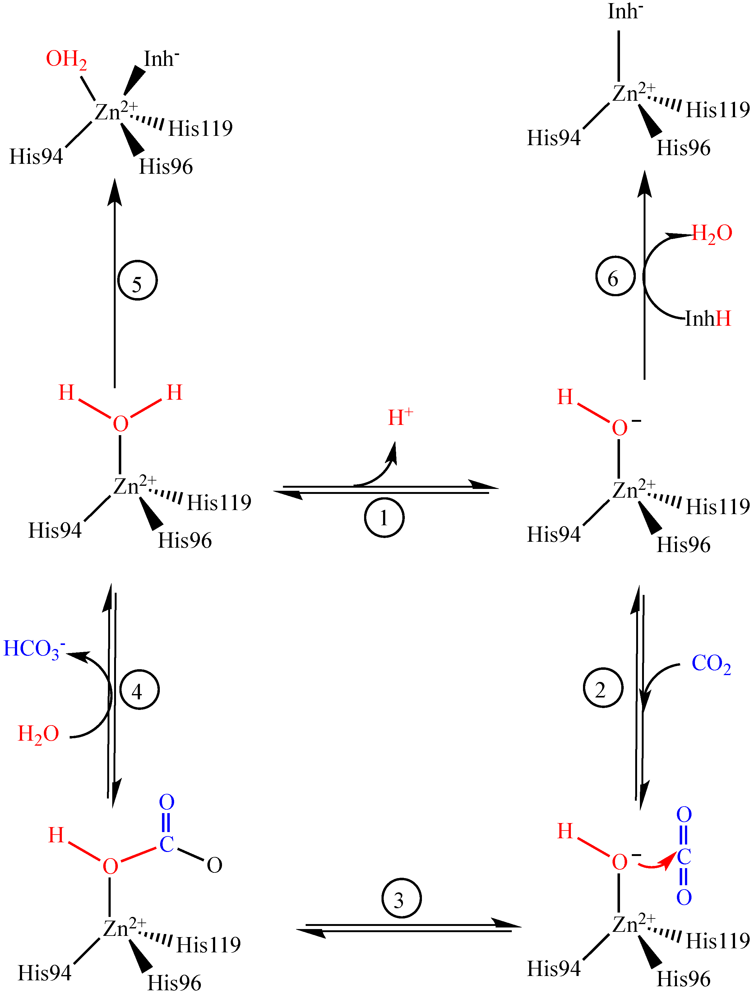 Molecules 19 10103 g004 550