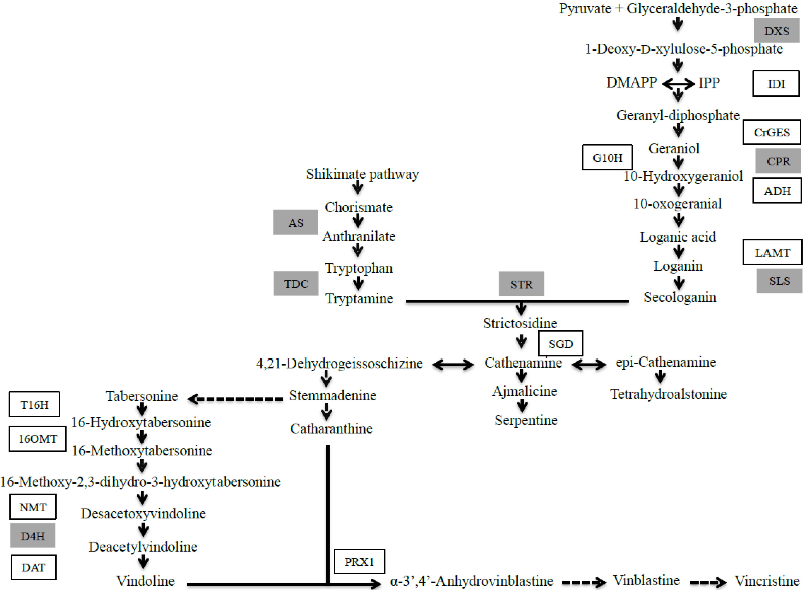 Molecules 19 10242 g005 550