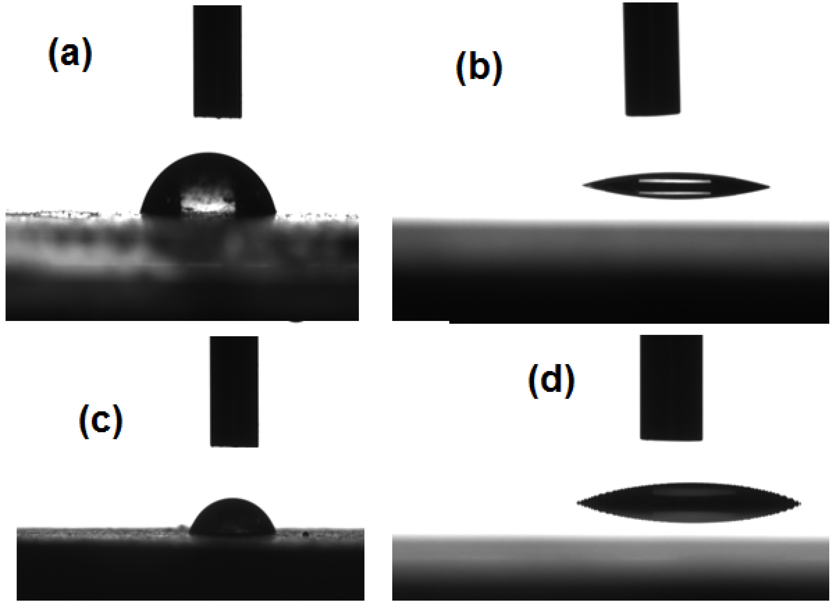 Molecules 19 10410 g006 550