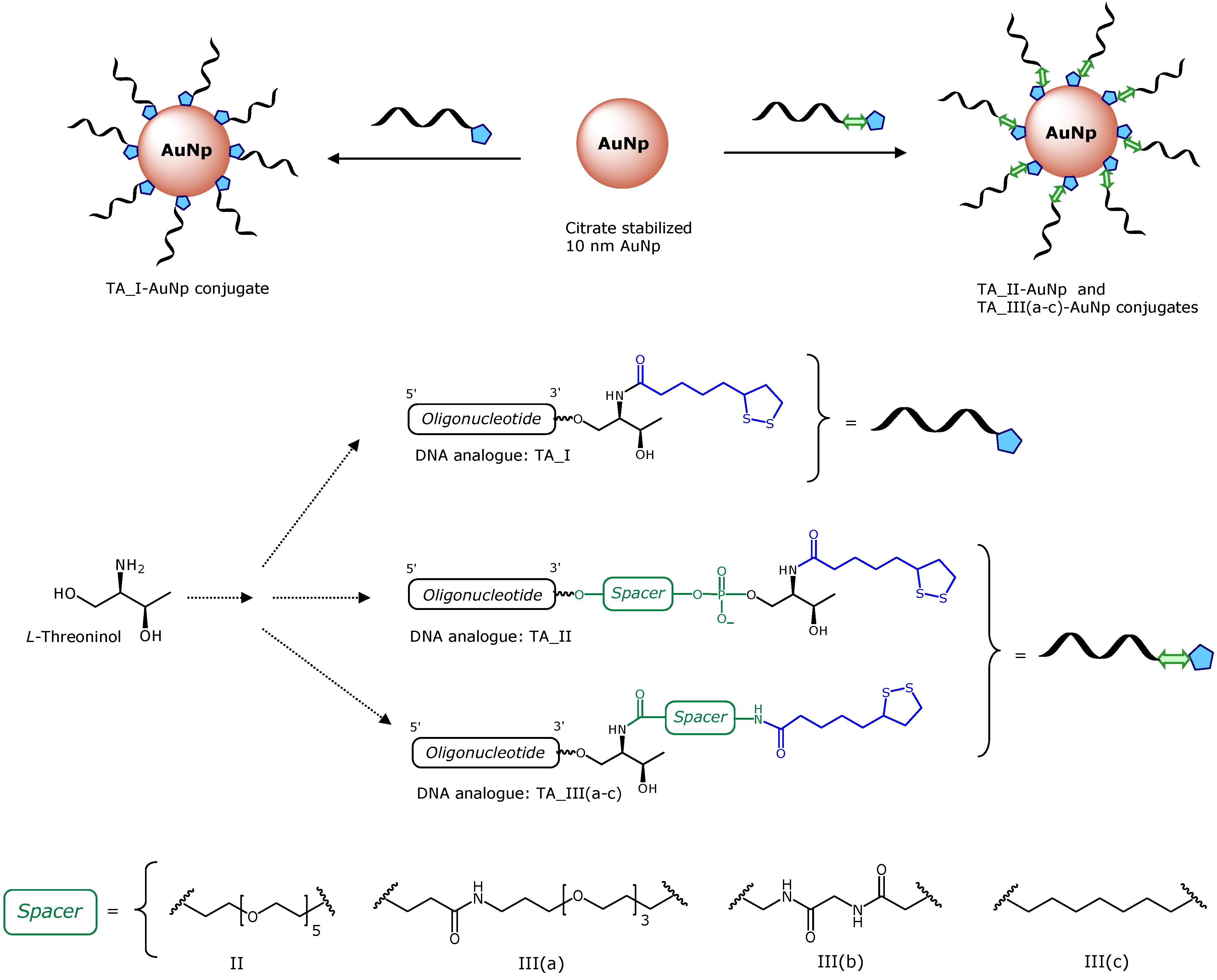 Molecules 19 10495 g001