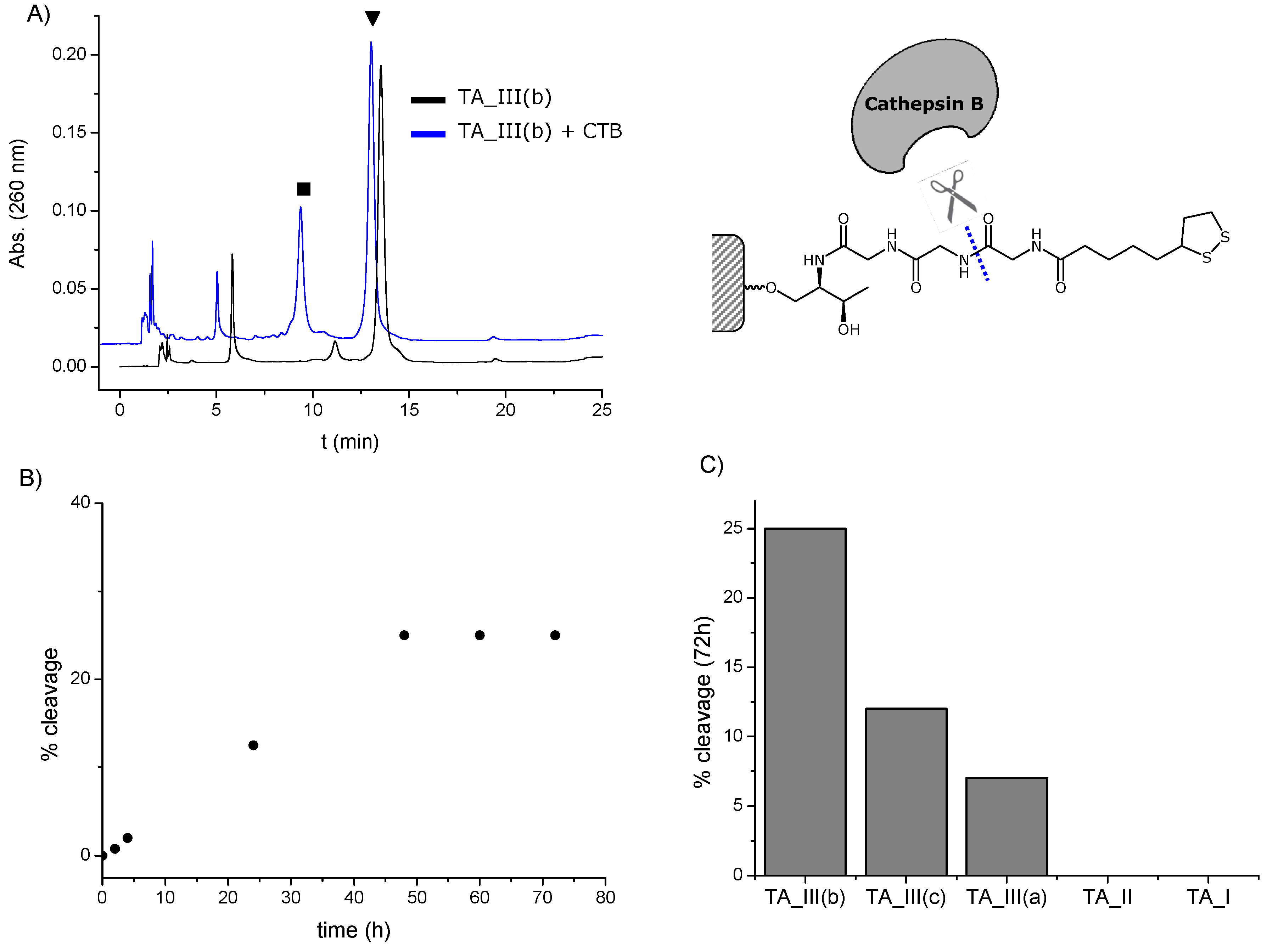 Molecules 19 10495 g005