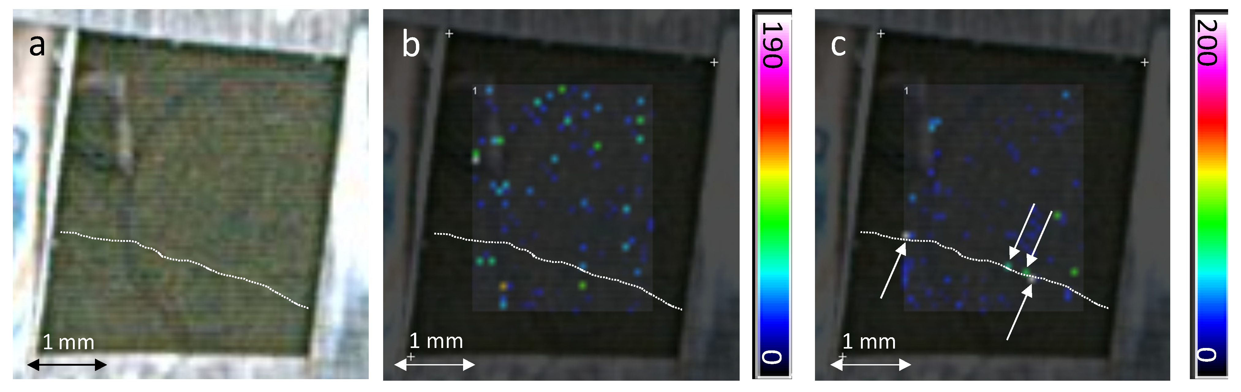 Molecules 19 10587 g005