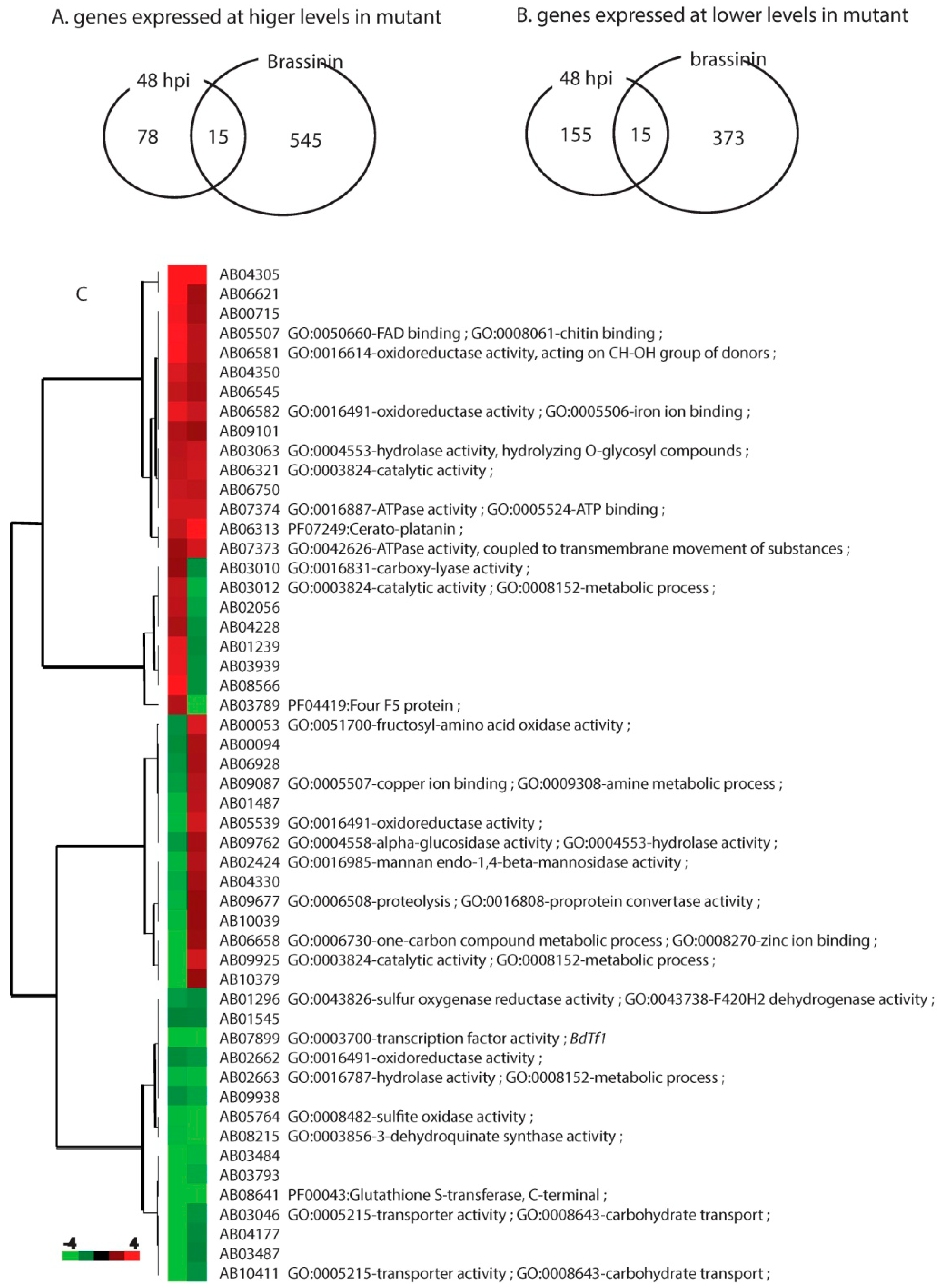 Molecules 19 10717 g002