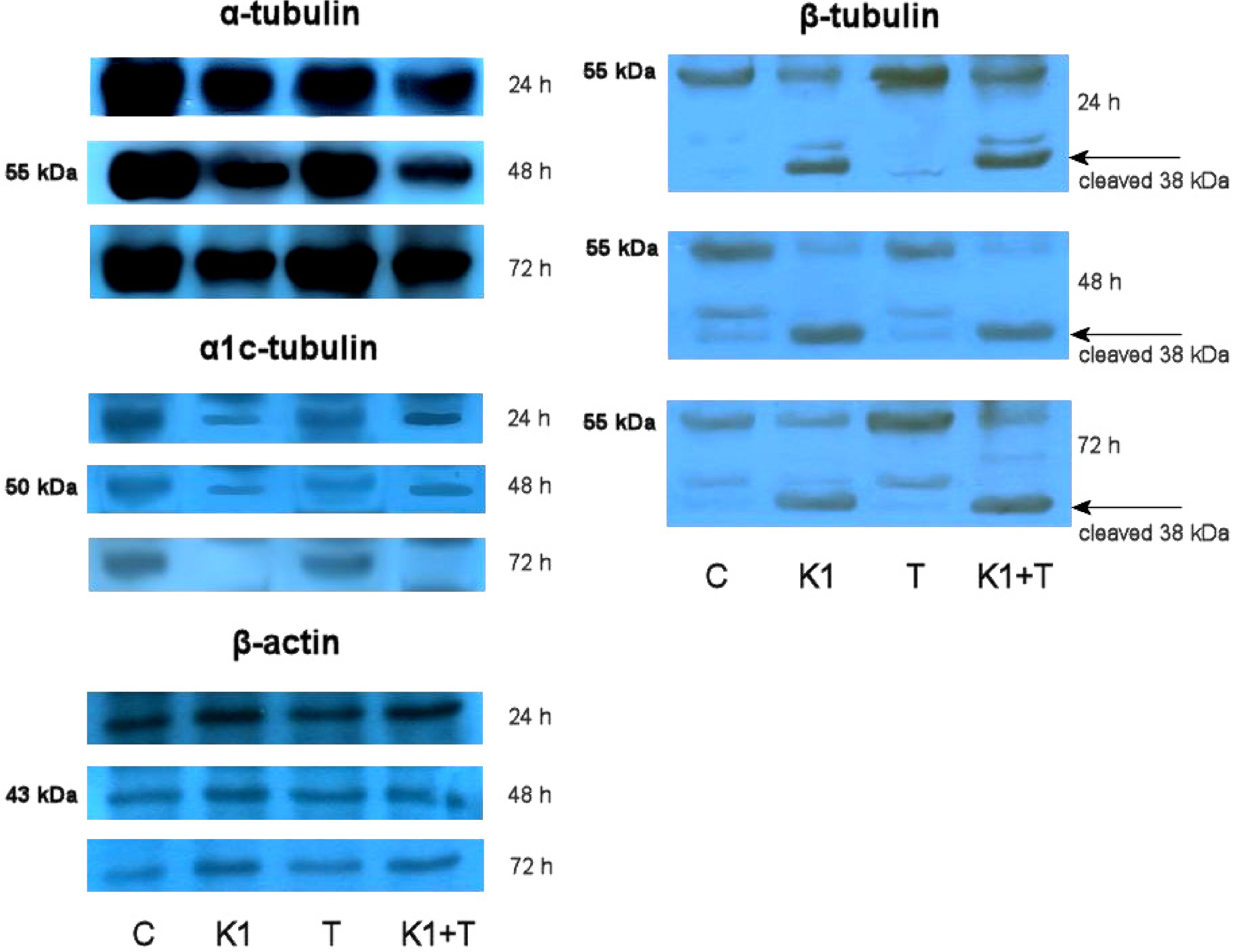 Molecules 19 10877 g007