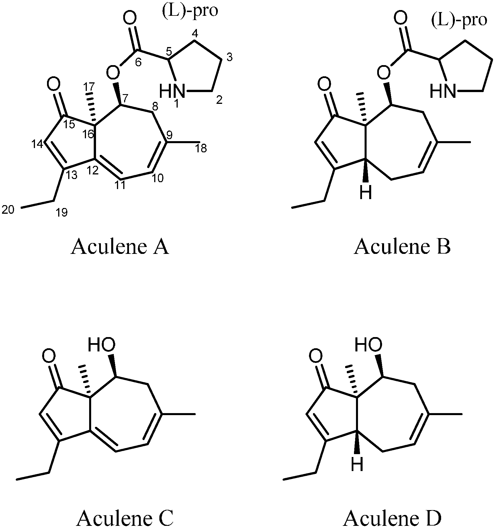 Molecules 19 10898 g004