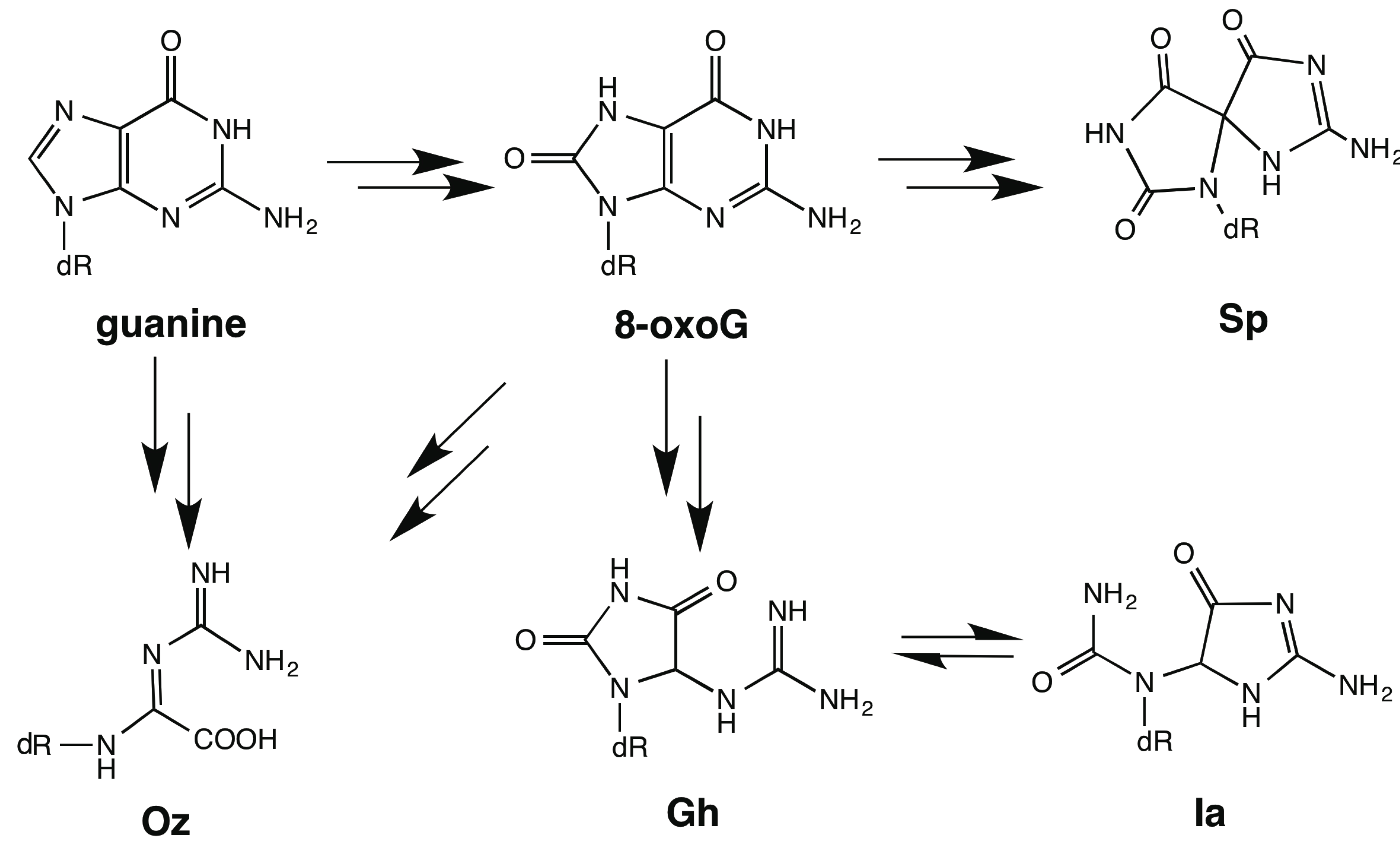 Molecules 19 11030 g006 550
