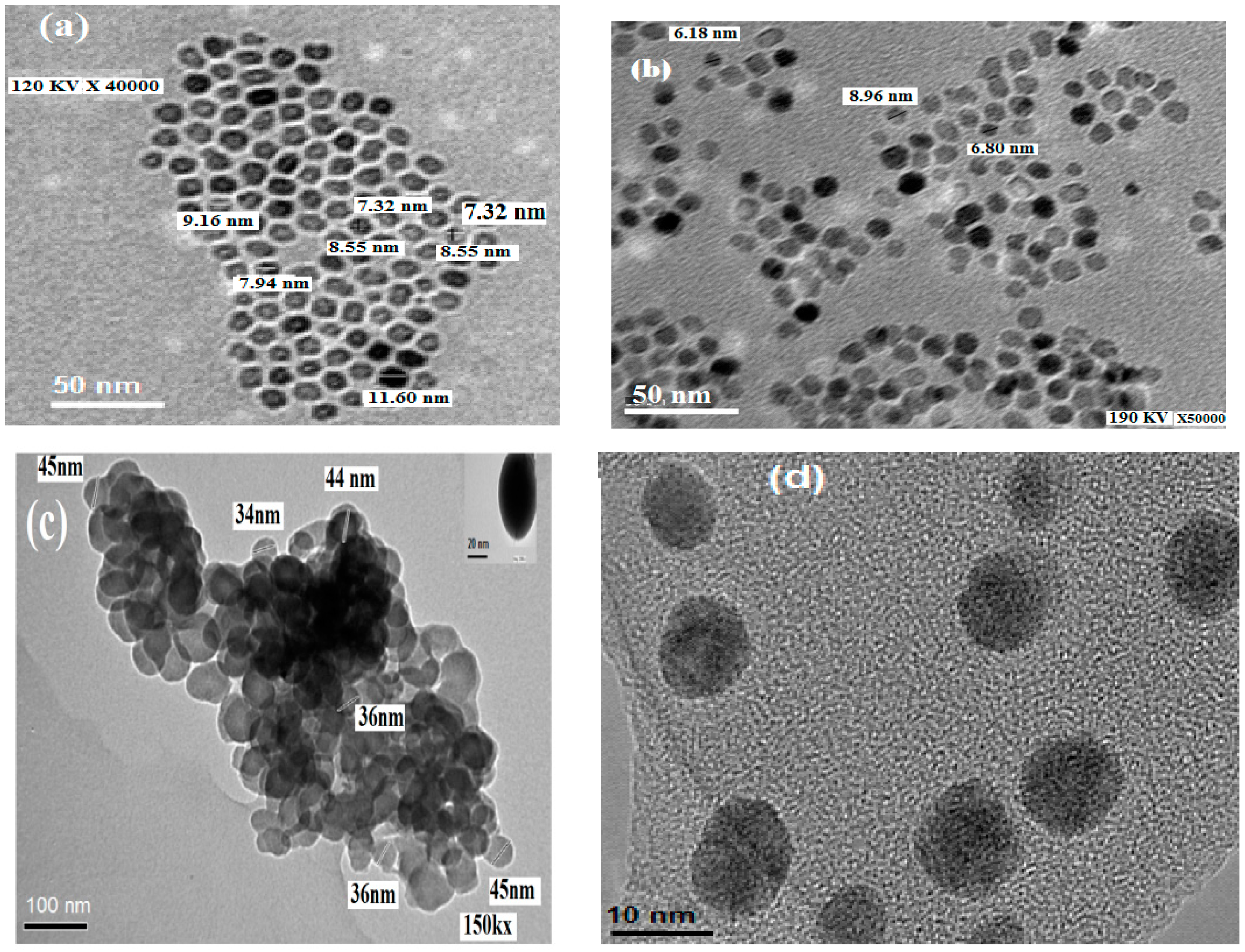 Molecules 19 11263 g004