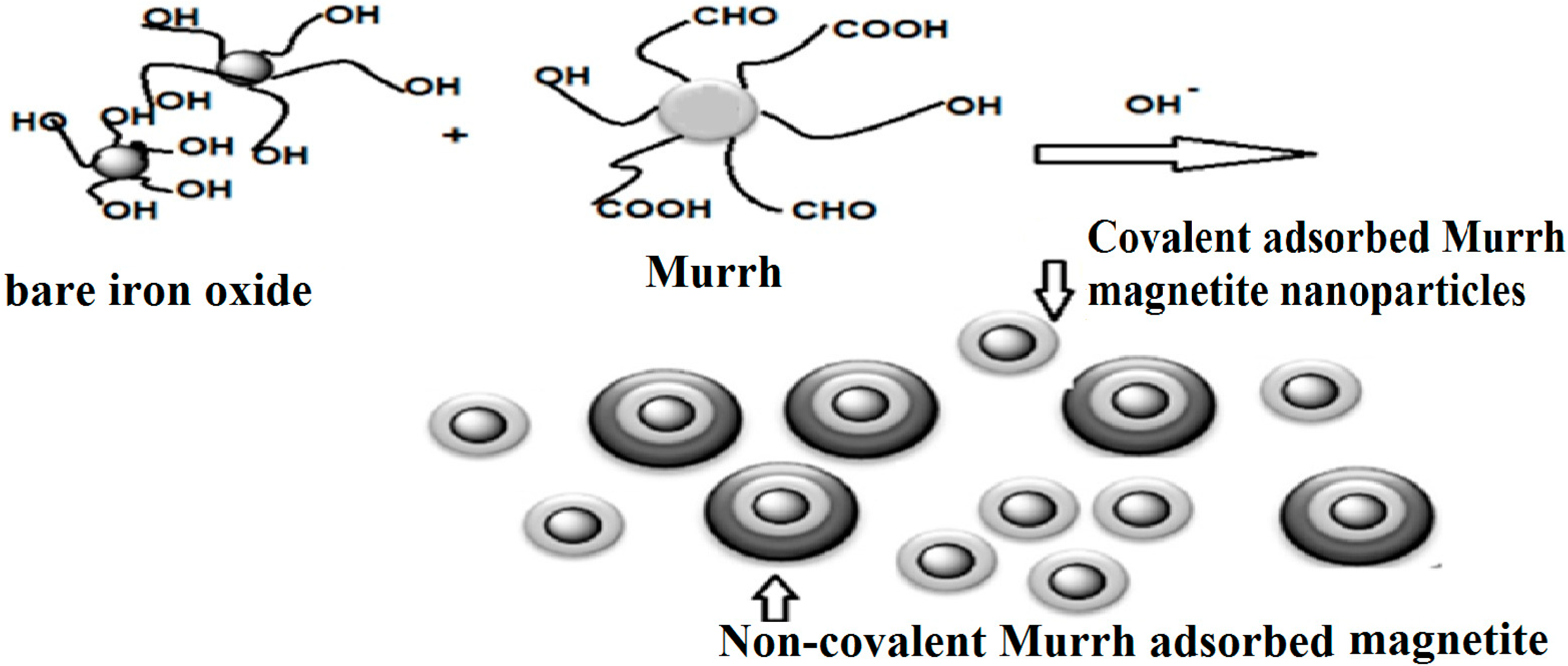 Molecules 19 11263 g006