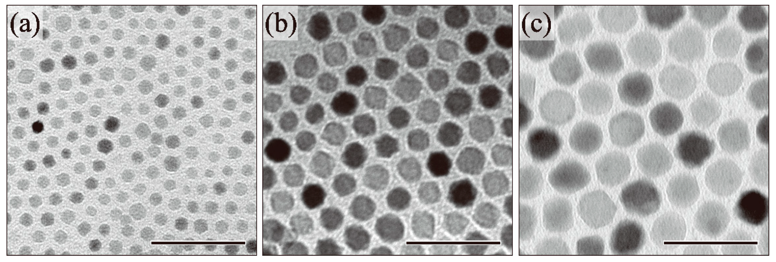 Molecules 19 11395 g004