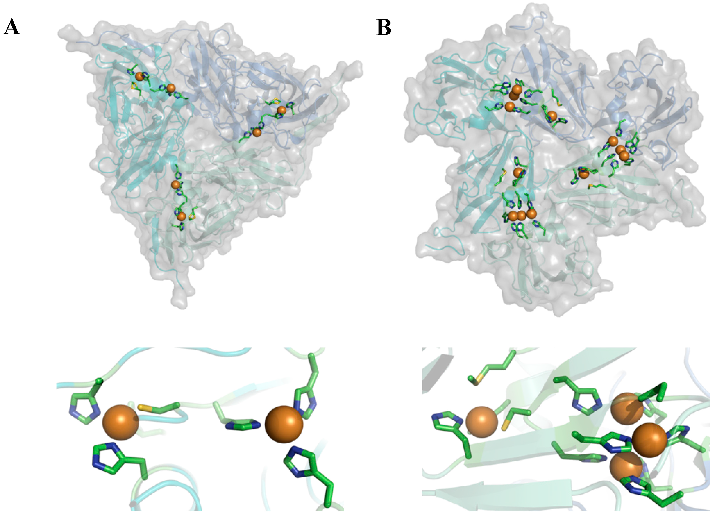 Molecules 19 11660 g002 550