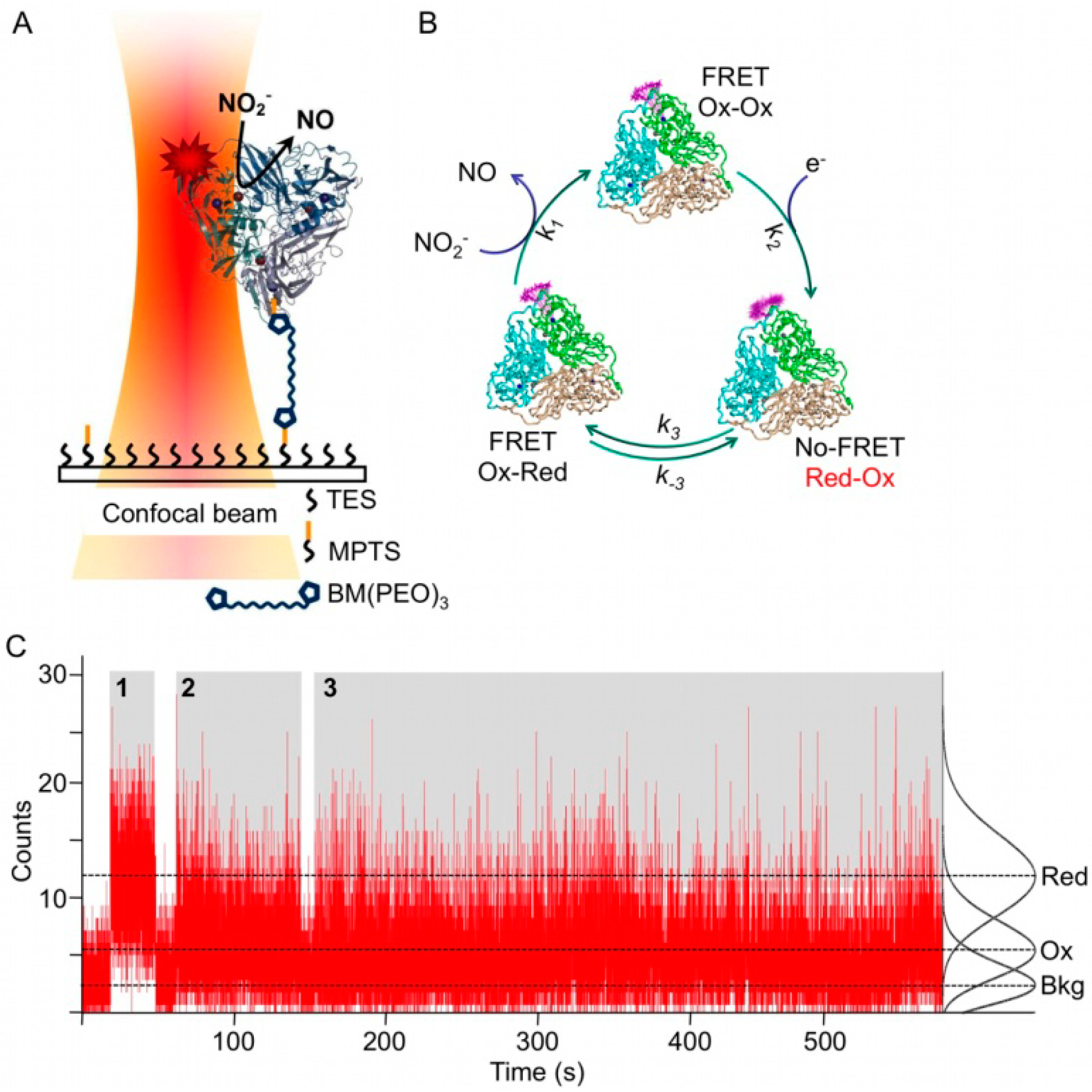 Molecules 19 11660 g003 550