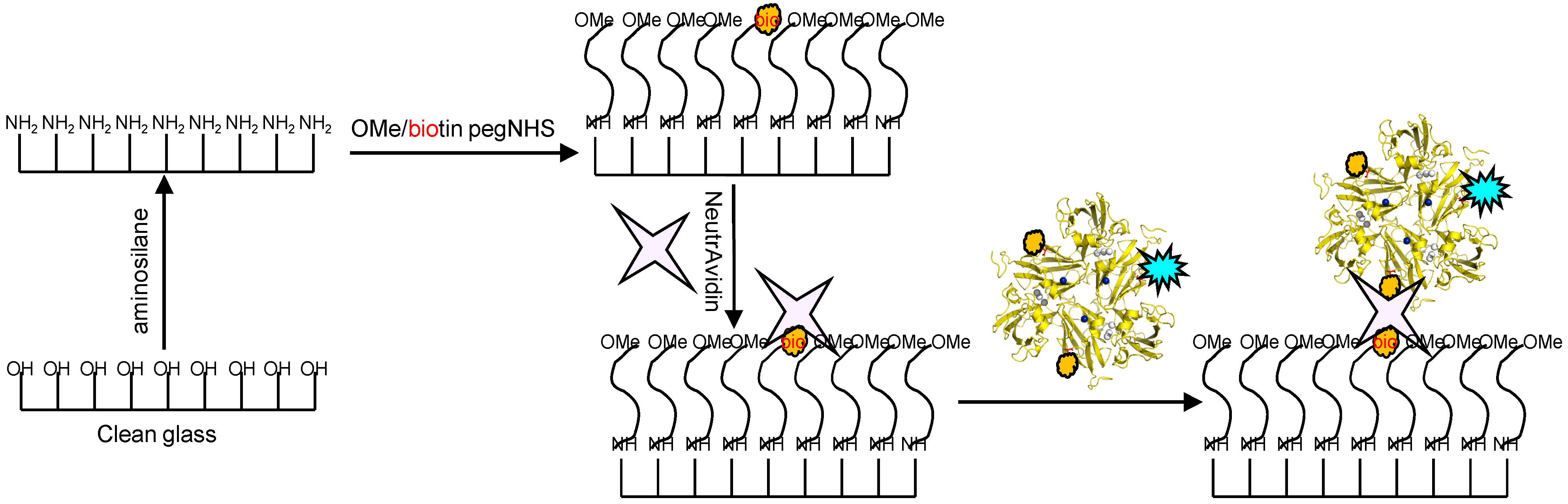 Molecules 19 11660 g009 550