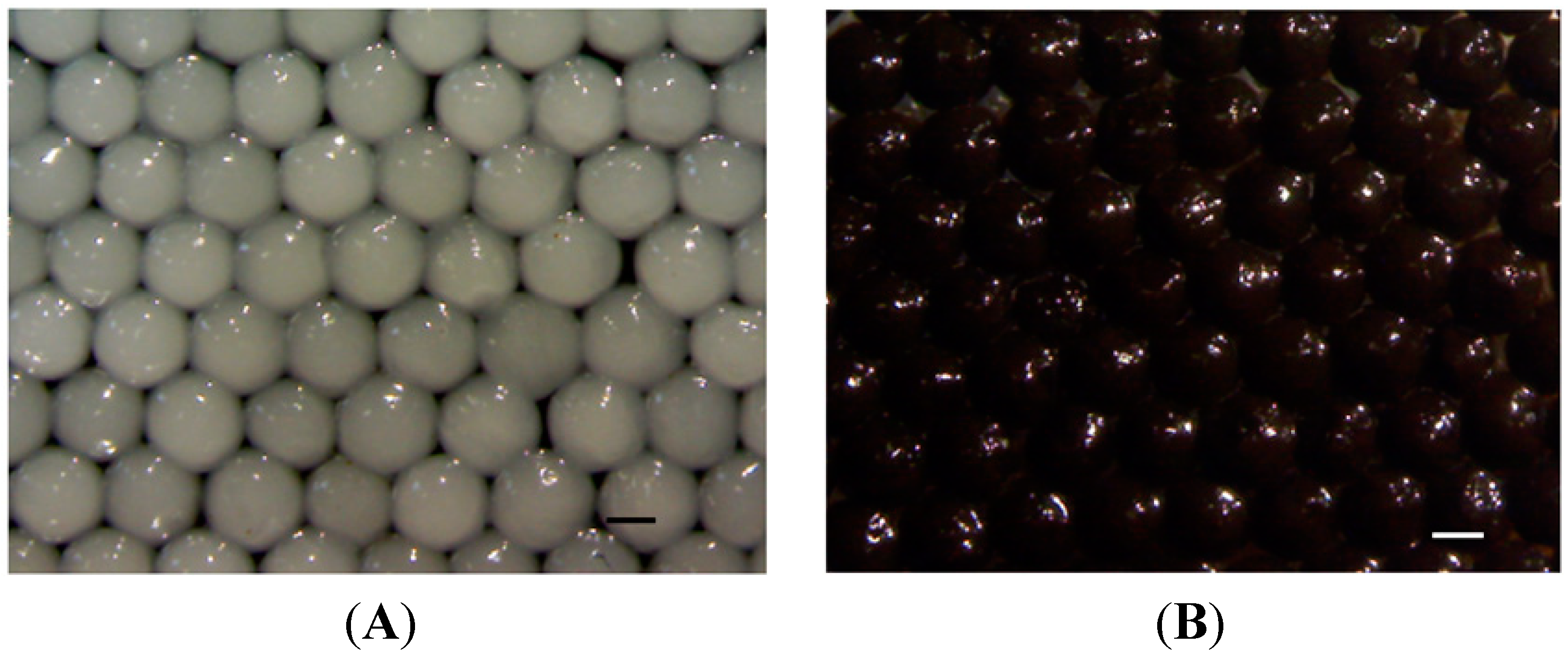 Molecules 19 11800 g003