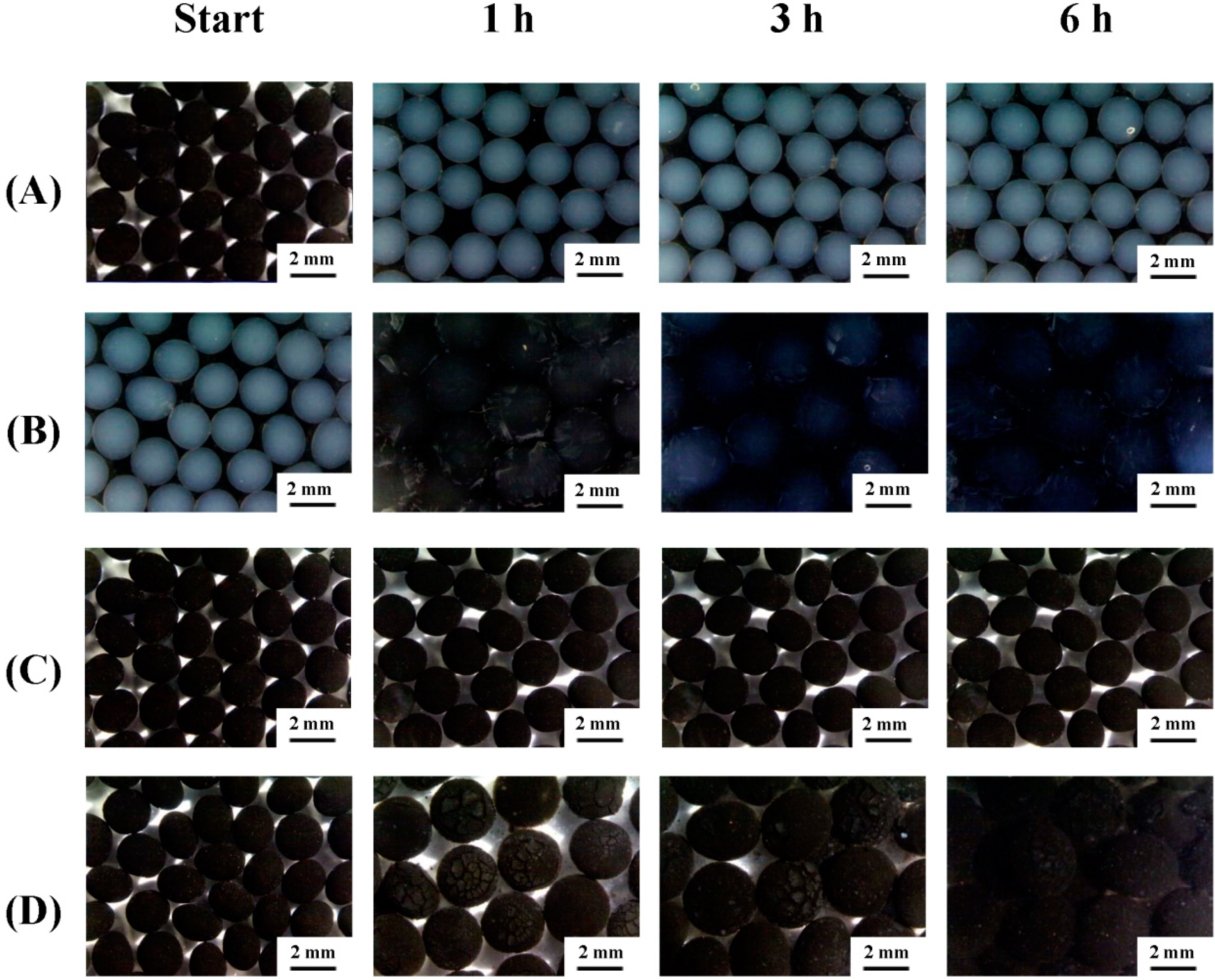 Molecules 19 11800 g004