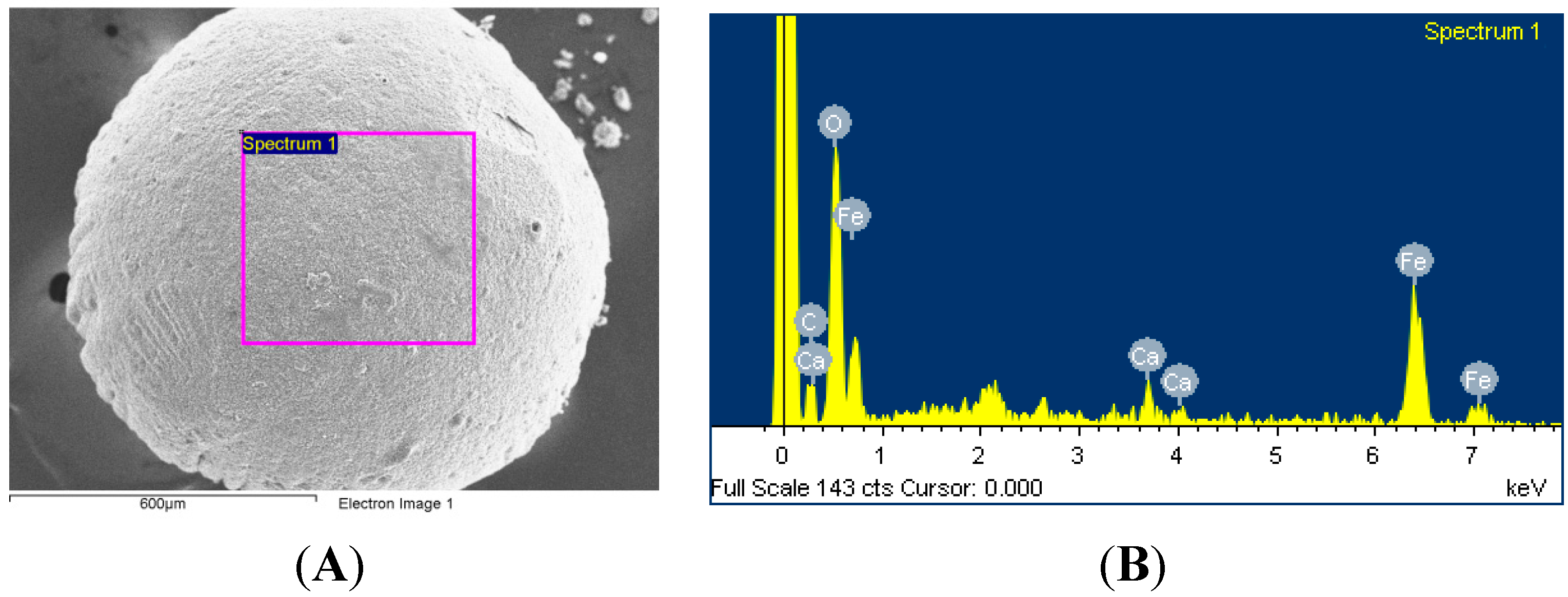Molecules 19 11800 g009