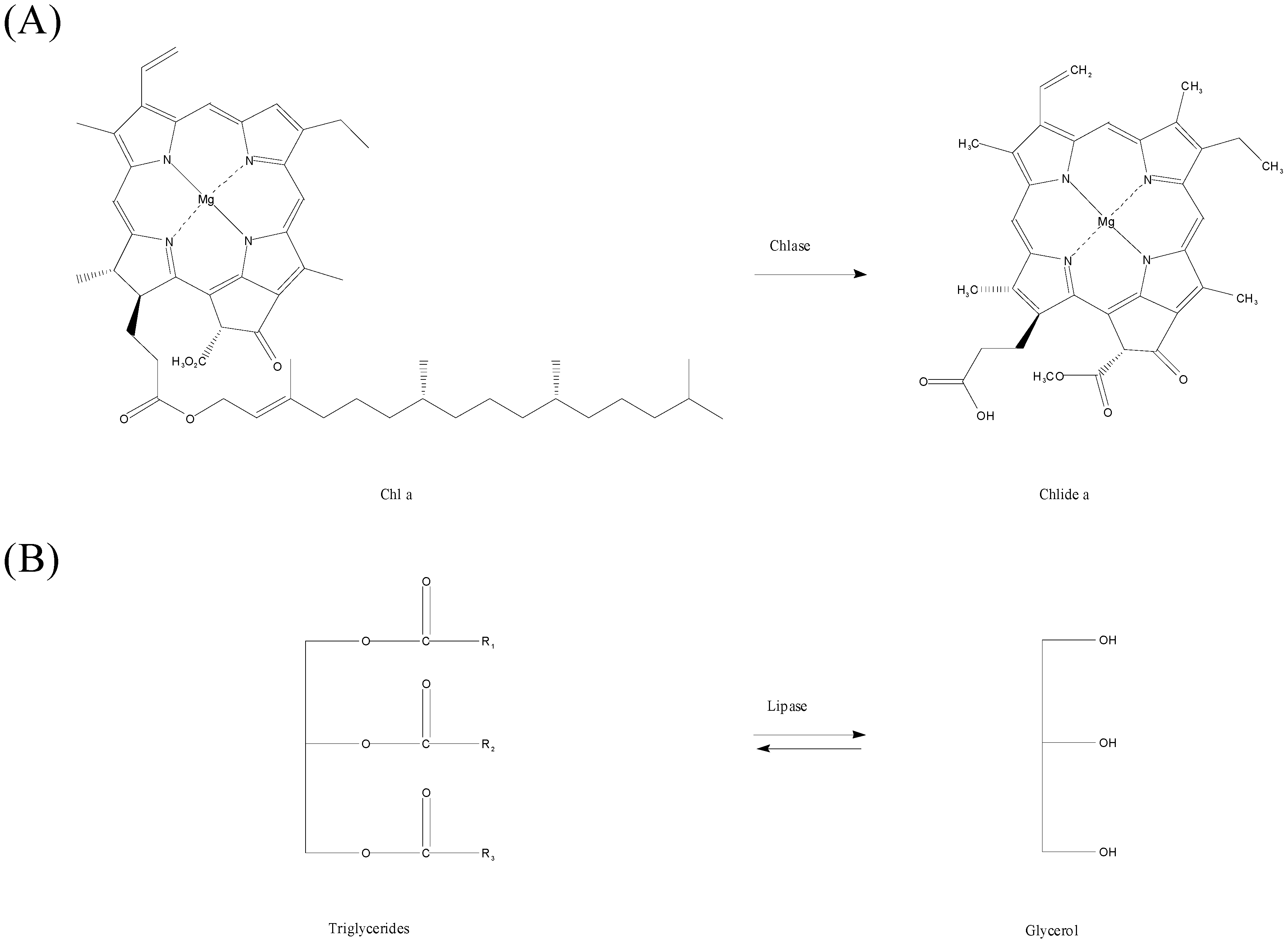 Molecules 19 11800 g010