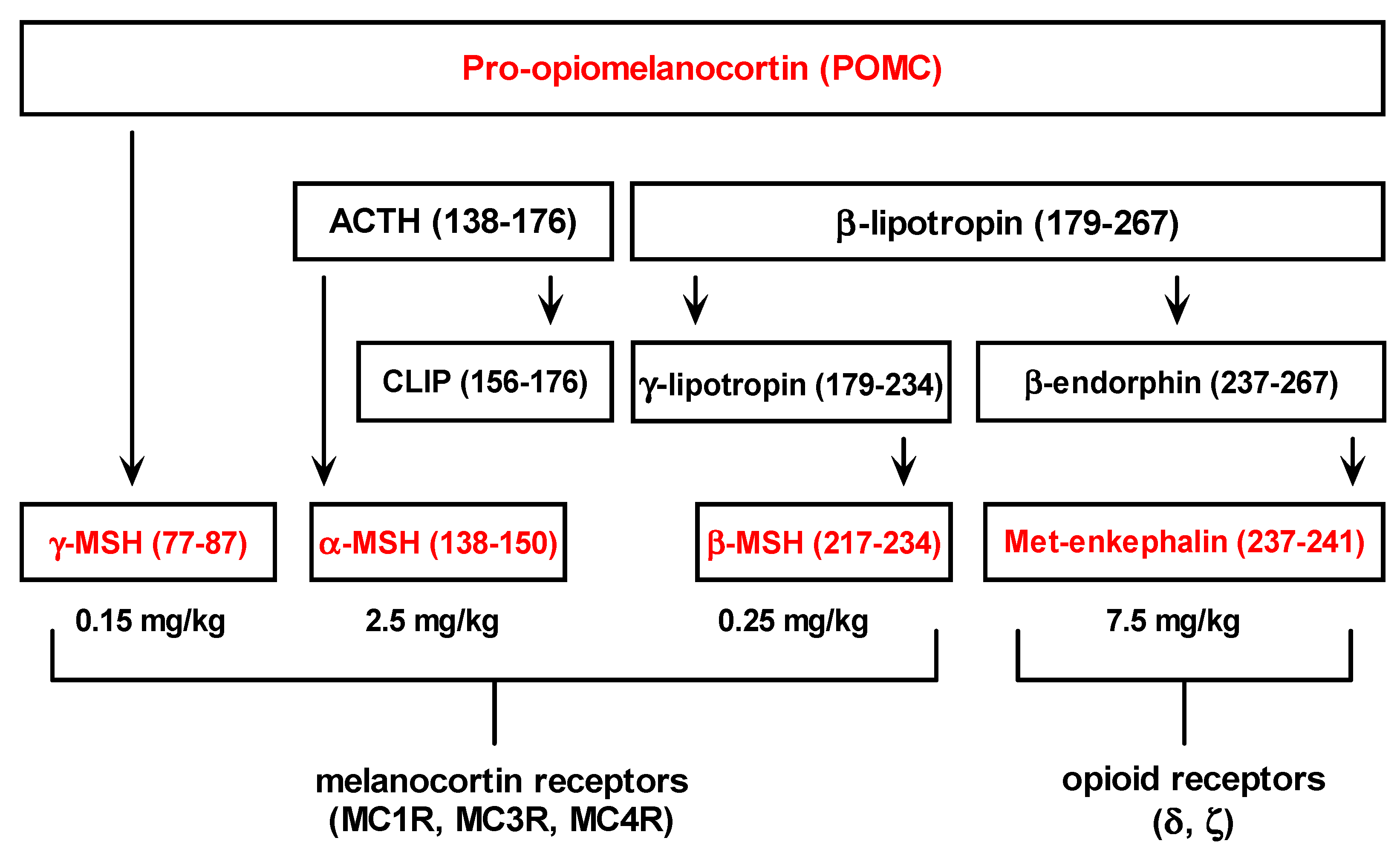Molecules Free FullText Hepatoprotective Effects of Metenkephalin