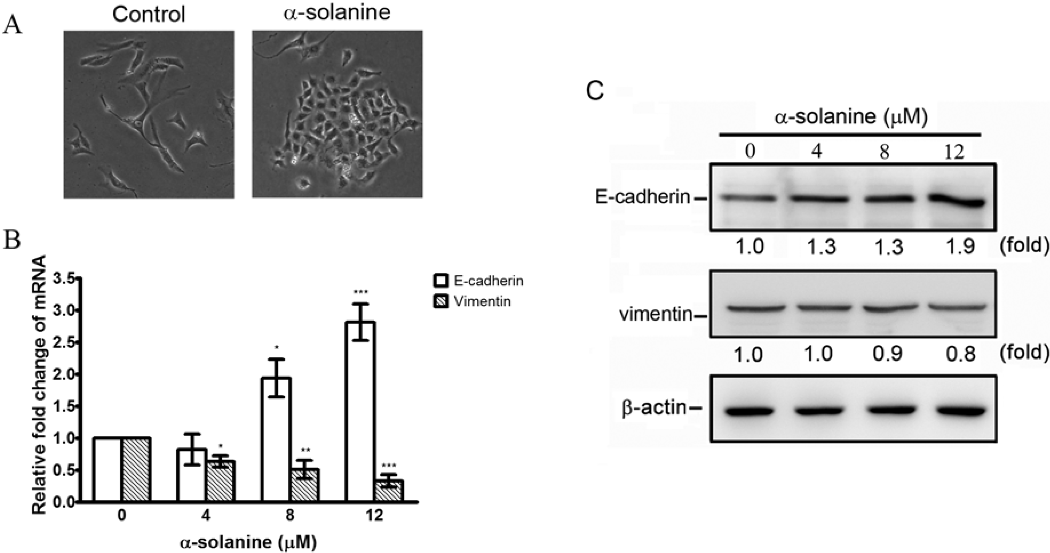 Molecules 19 11896 g004