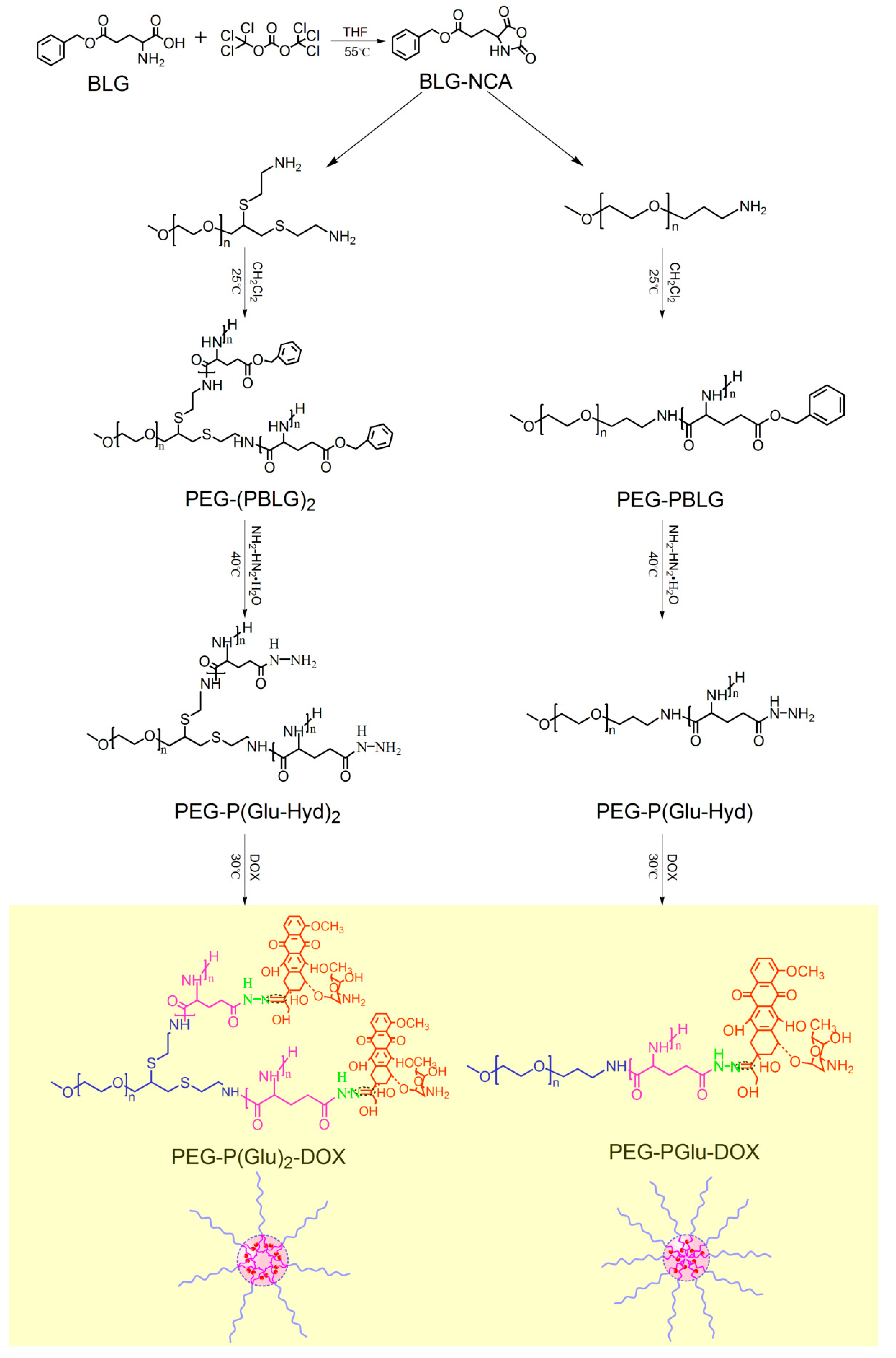 Molecules 19 11915 g007