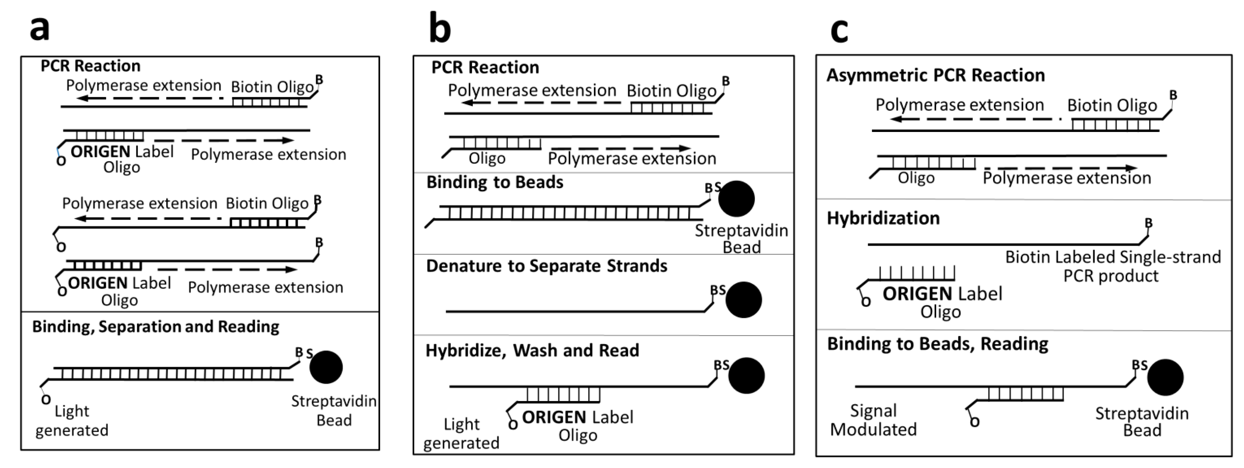 Molecules Free Full Text Ruthenium Polypyridine Complexes