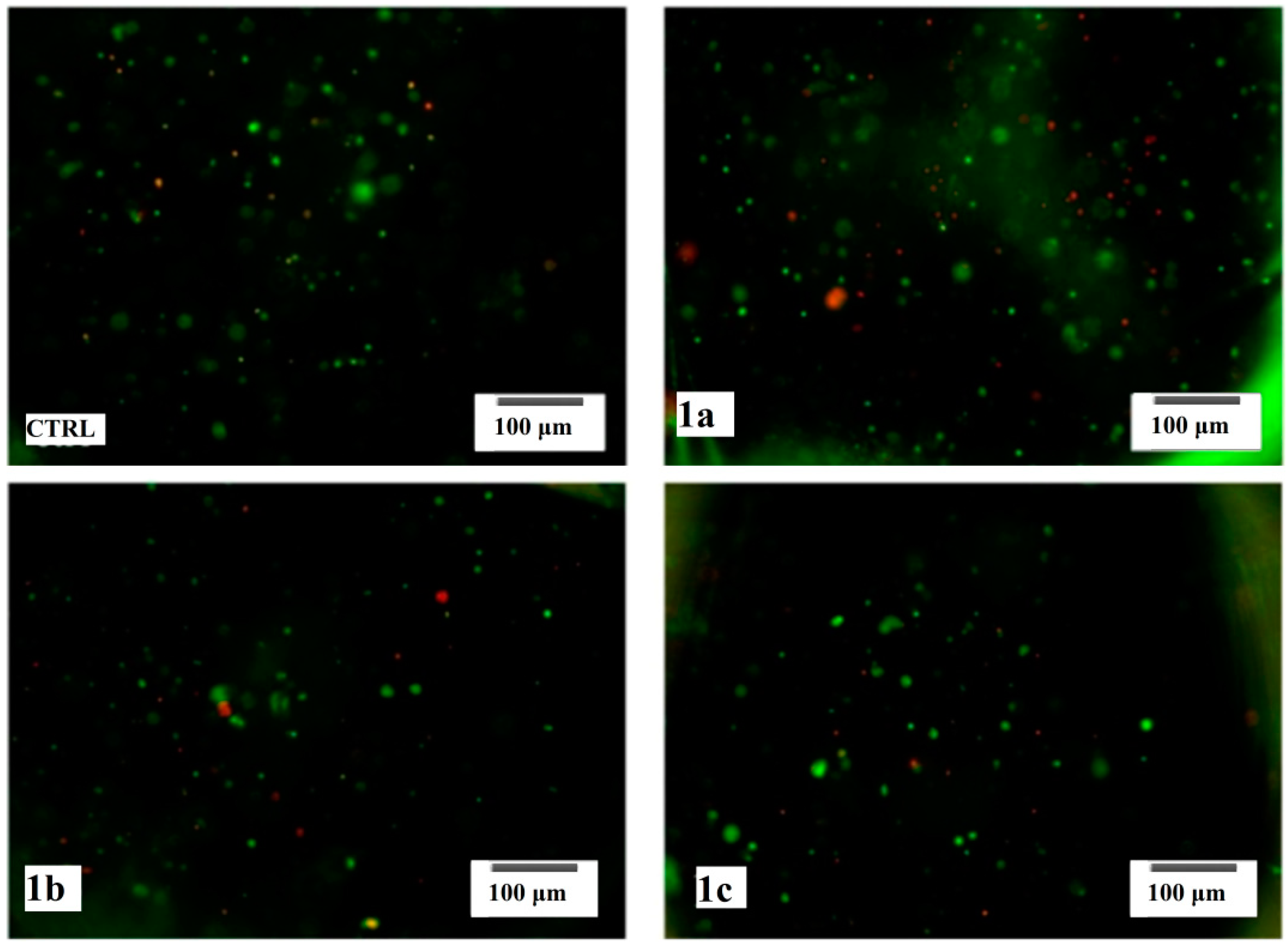 Molecules 19 12011 g008