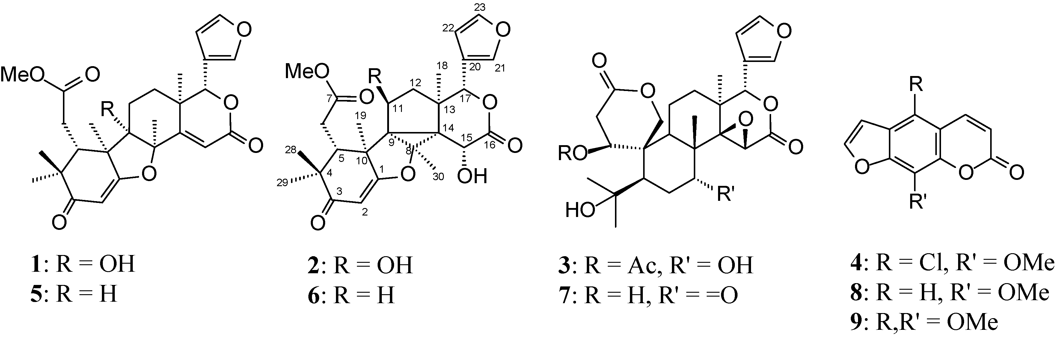 Molecules 19 12031 g001