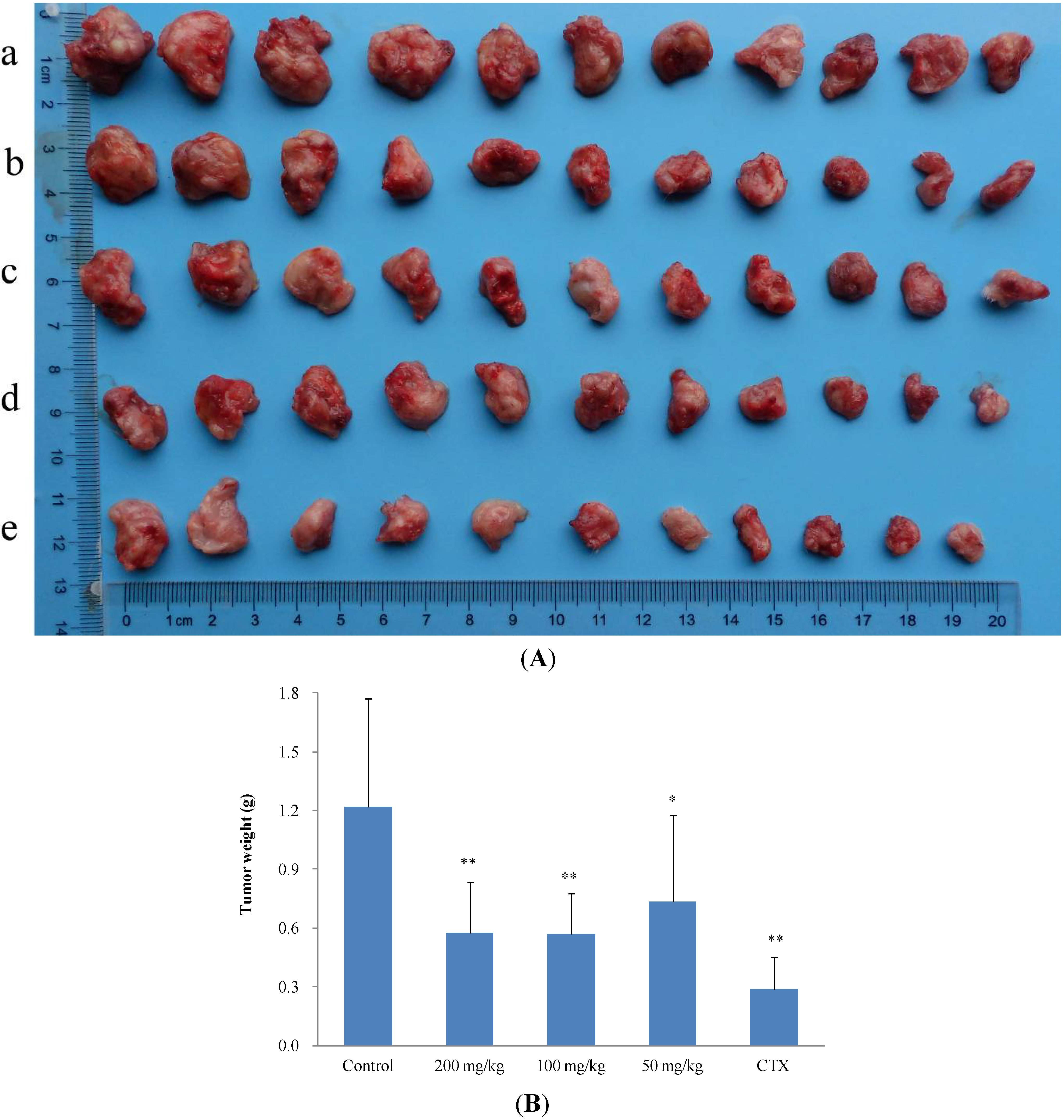 Molecules 19 12099 g003