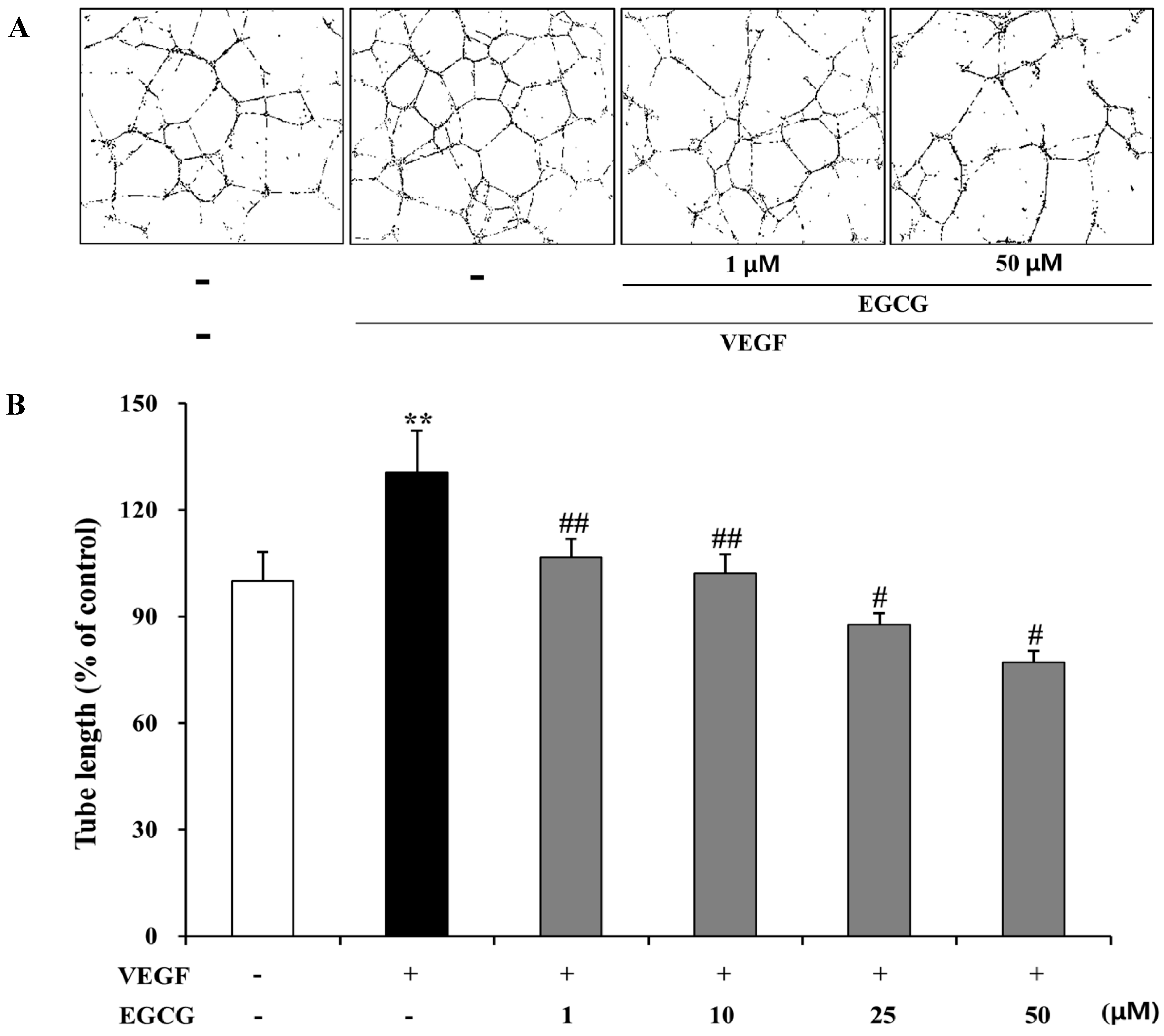 Molecules 19 12150 g007