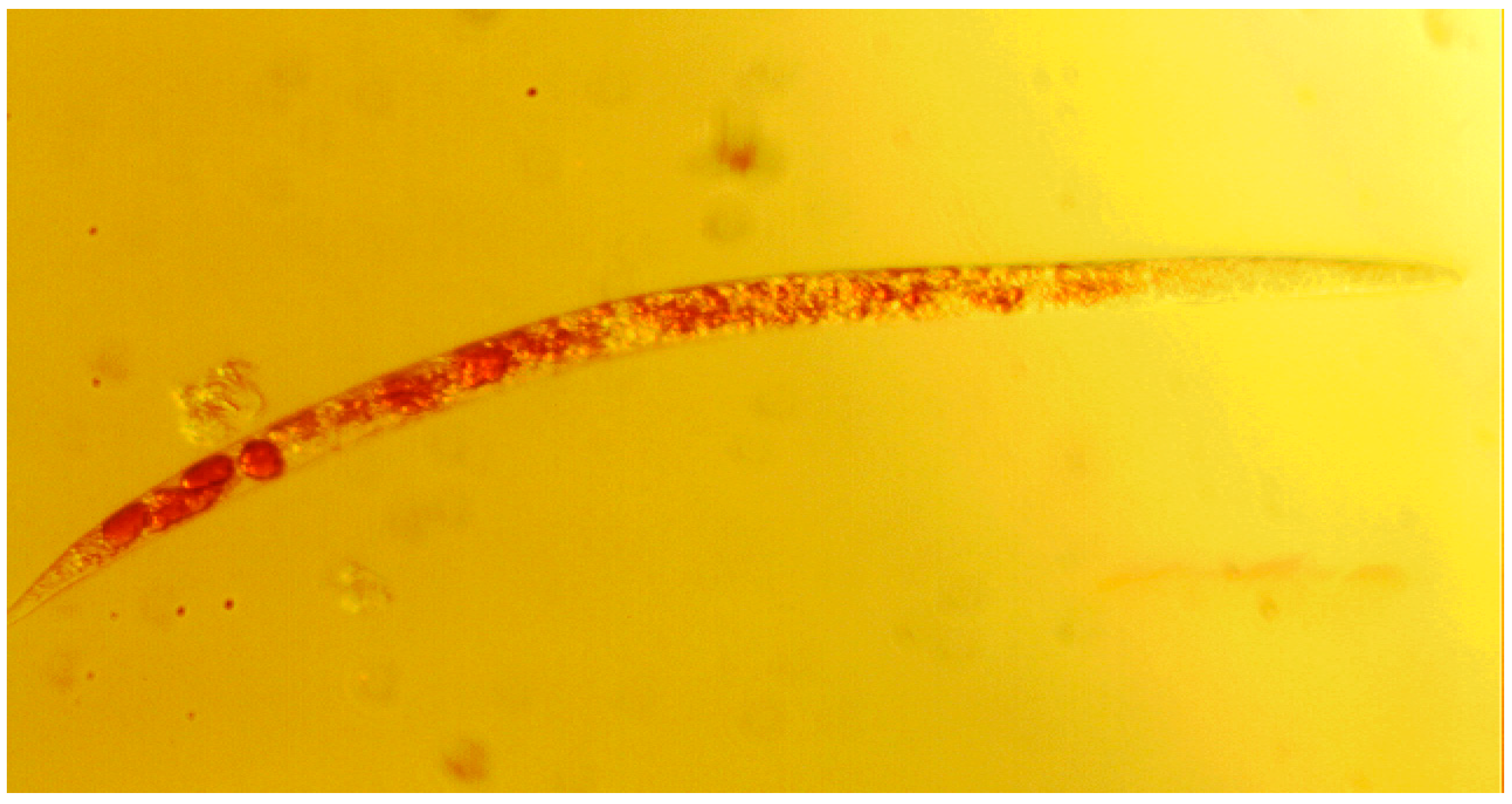 Molecules 19 12258 g003 550