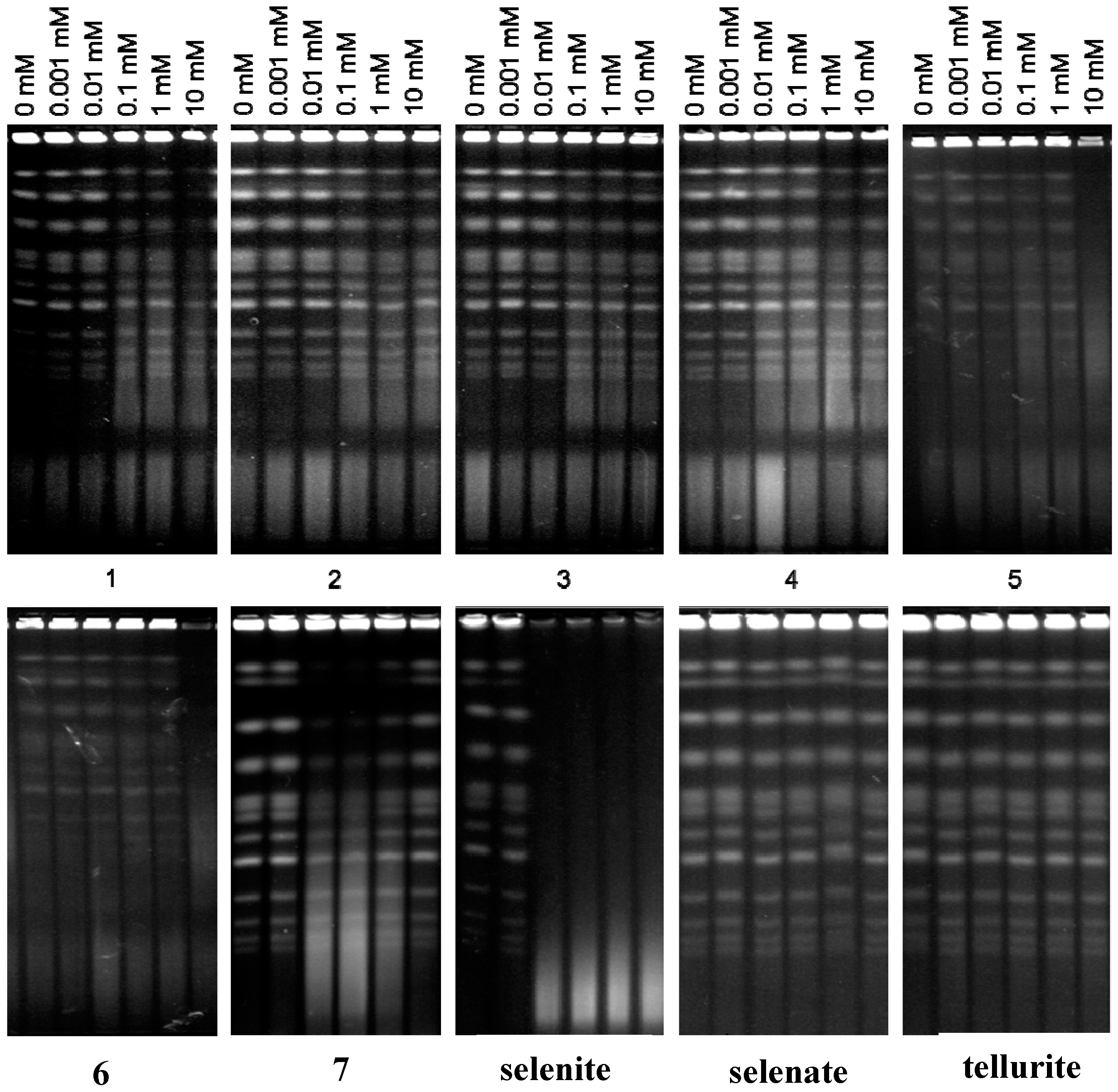 Molecules 19 12258 g007 550
