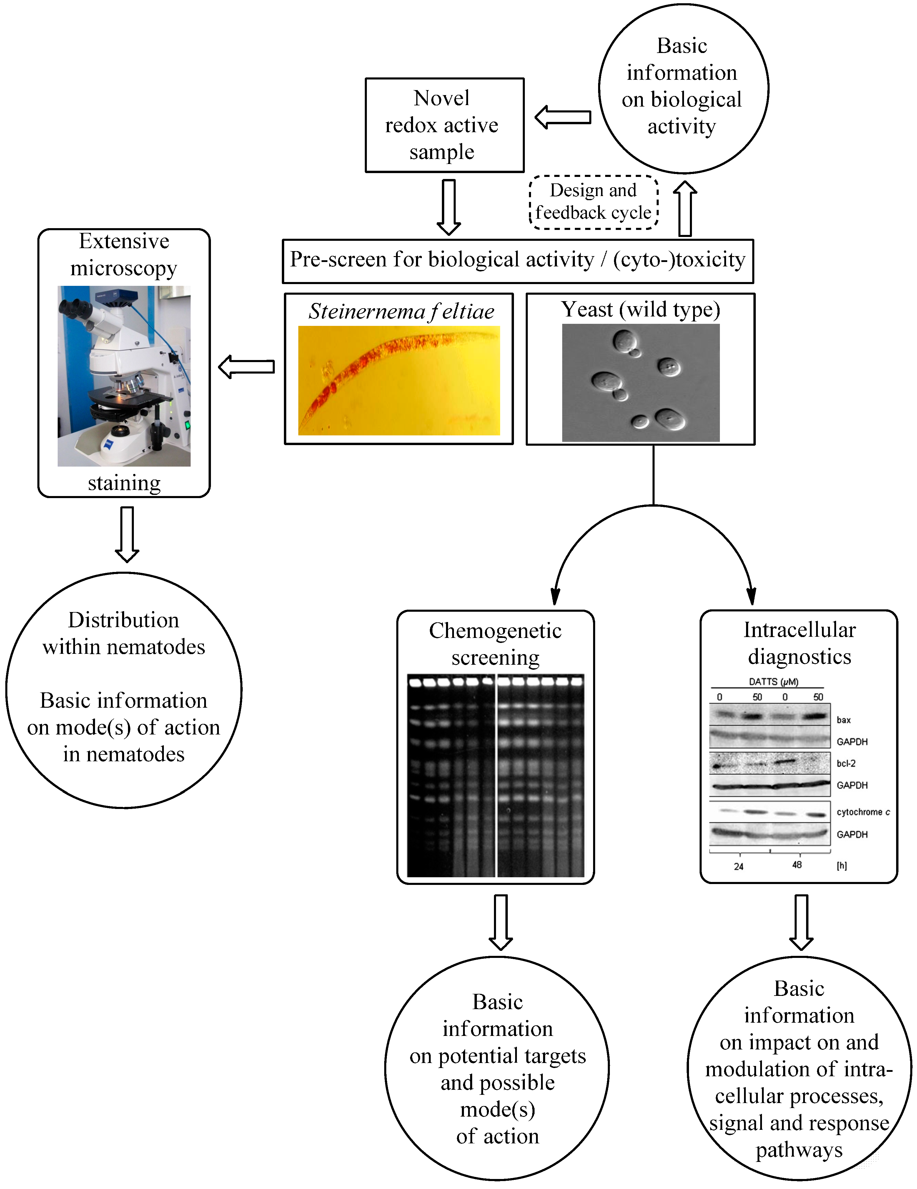 Molecules 19 12258 g008 550