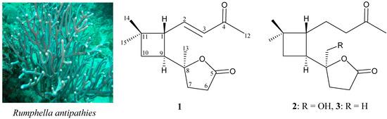 Structural formula of PM00104 (Zalypsis®; C 37 H 38 F 3 N 3 O 8 )