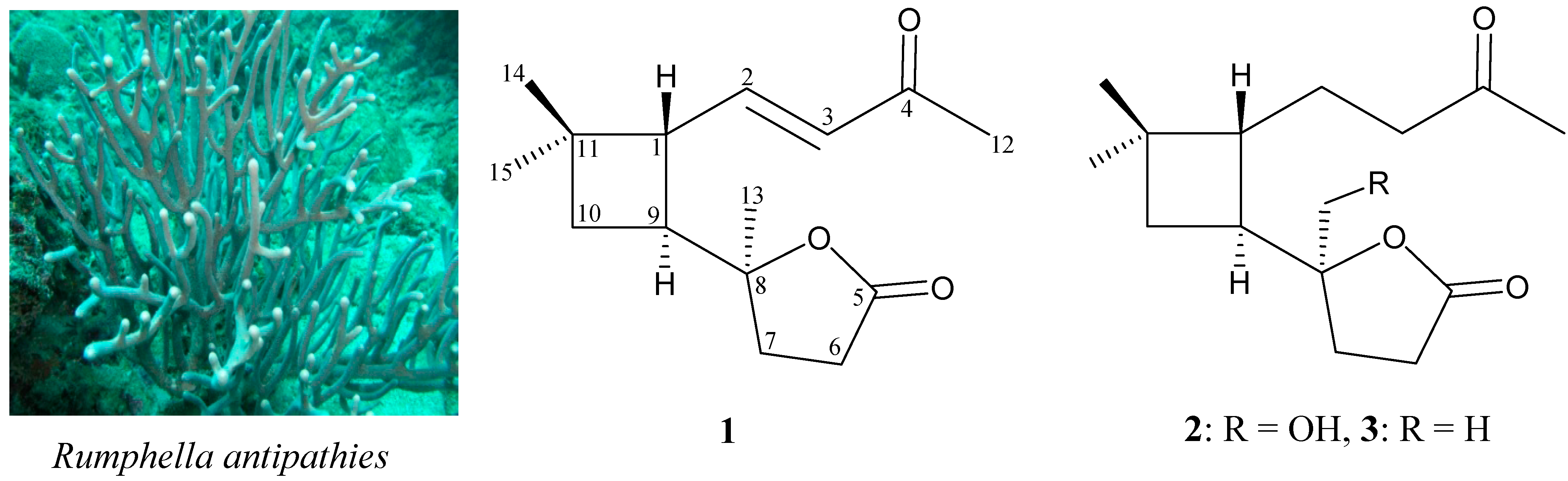Molecules 19 12320 g003