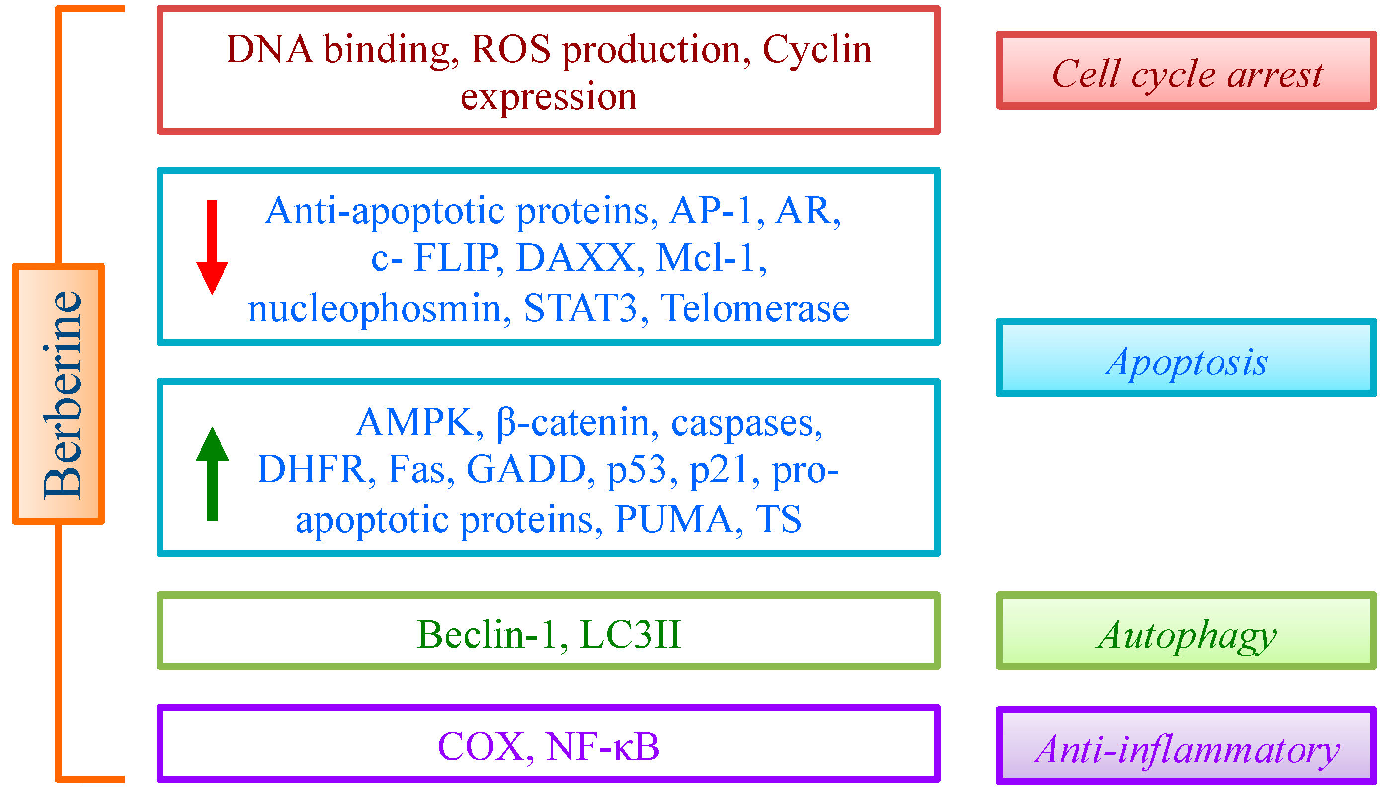 Molecules 19 12349 g002