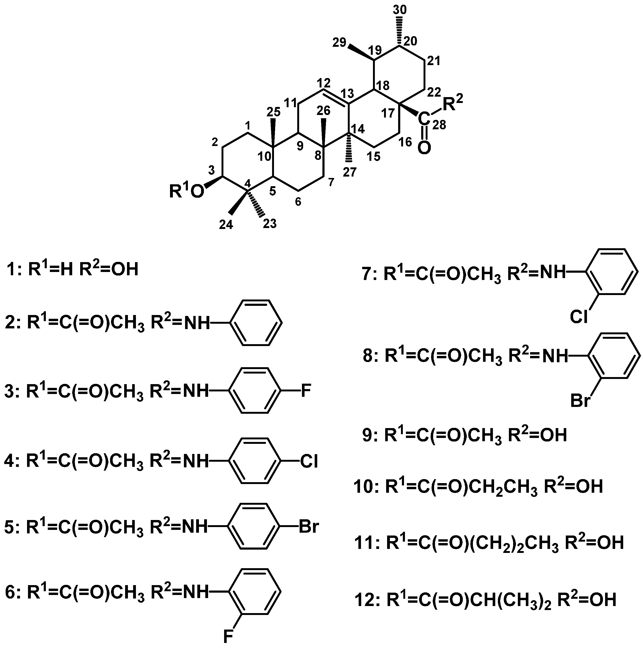 Molecules 19 12559 g001
