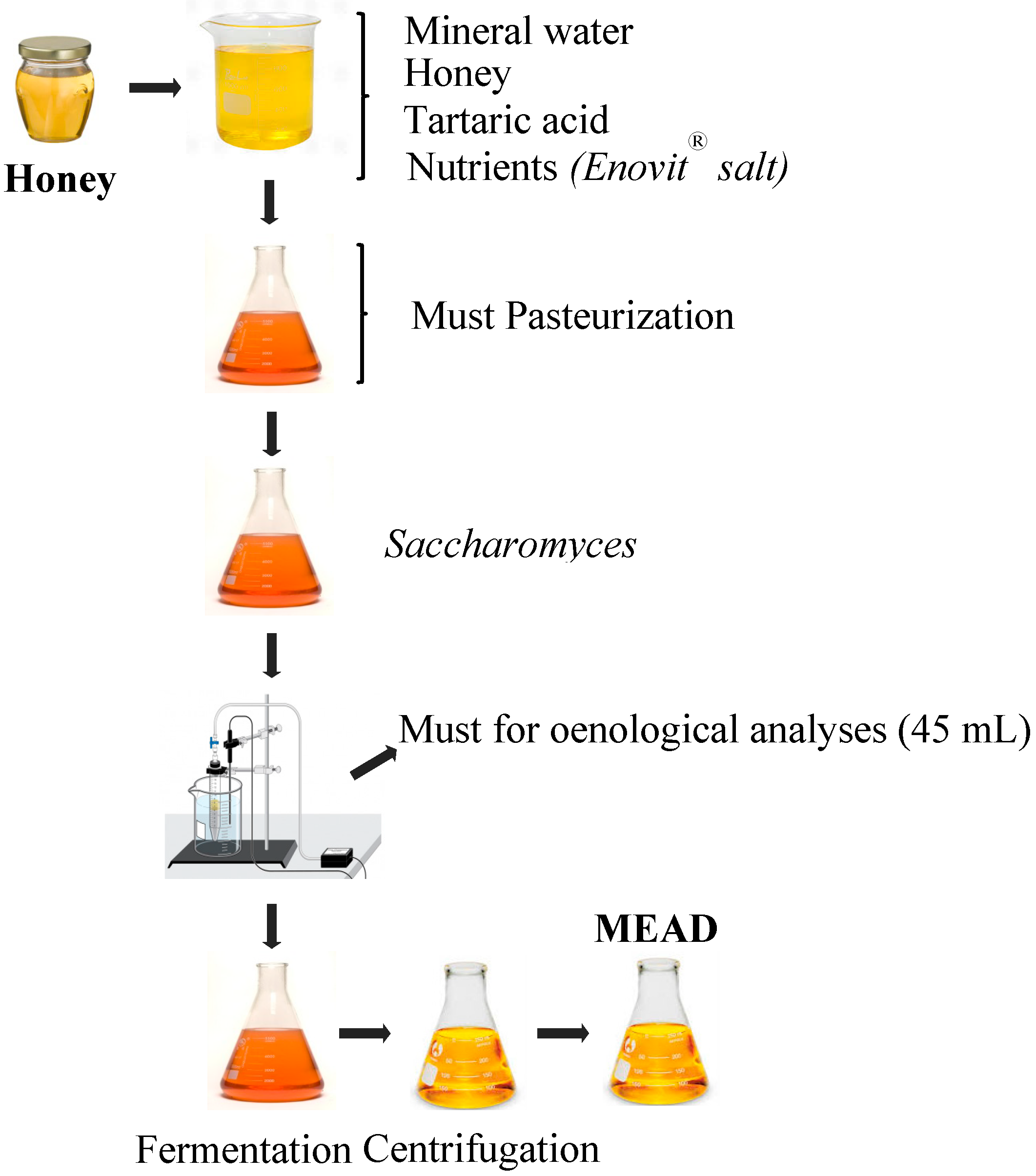Molecules Free FullText Developments in the Fermentation Process