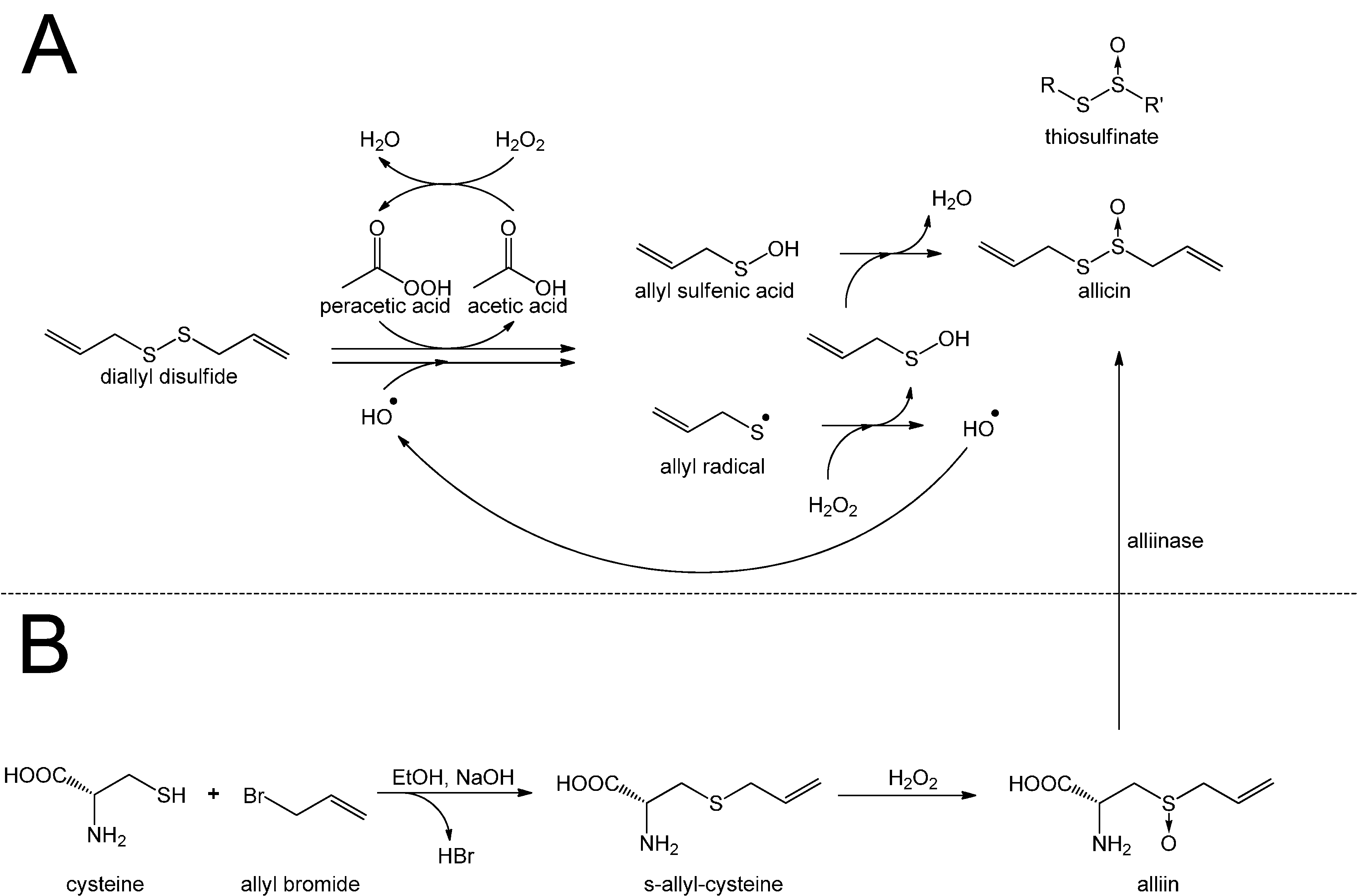 Molecules 19 12591 g008