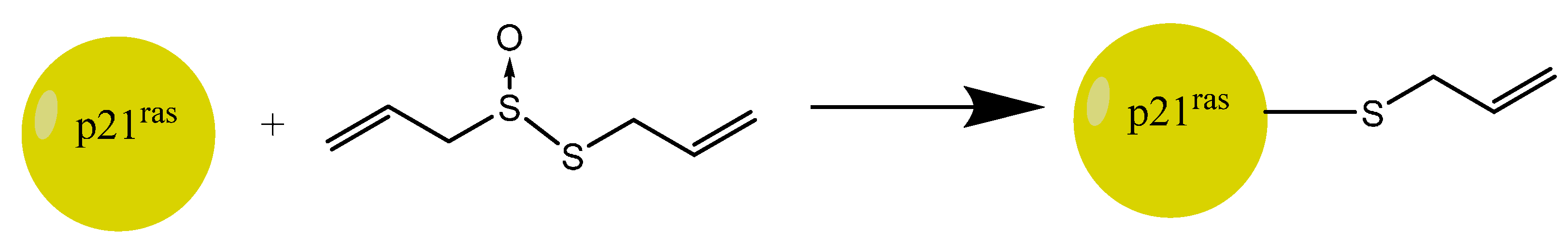 Molecules 19 12591 g011
