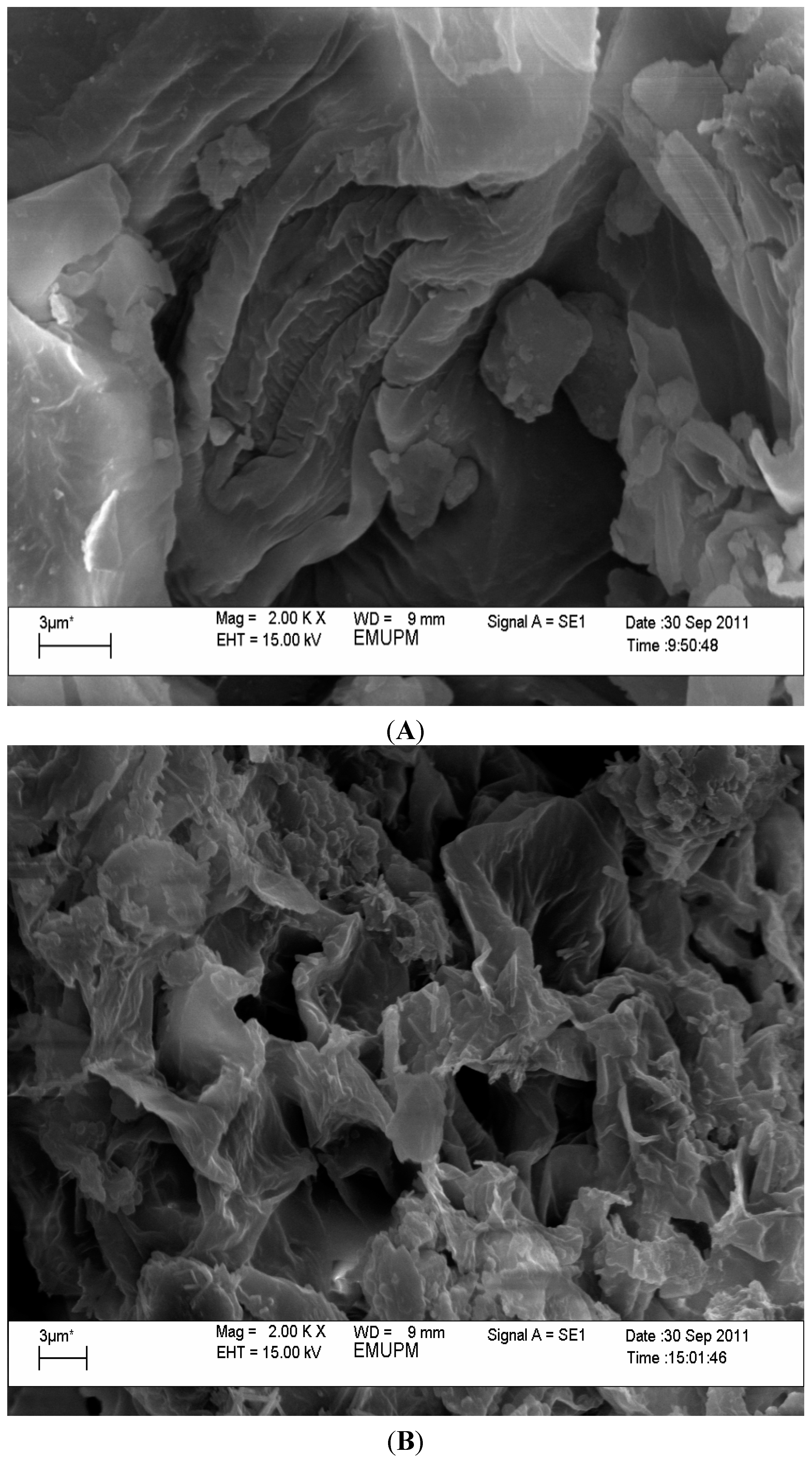 Molecules 19 12640 g002