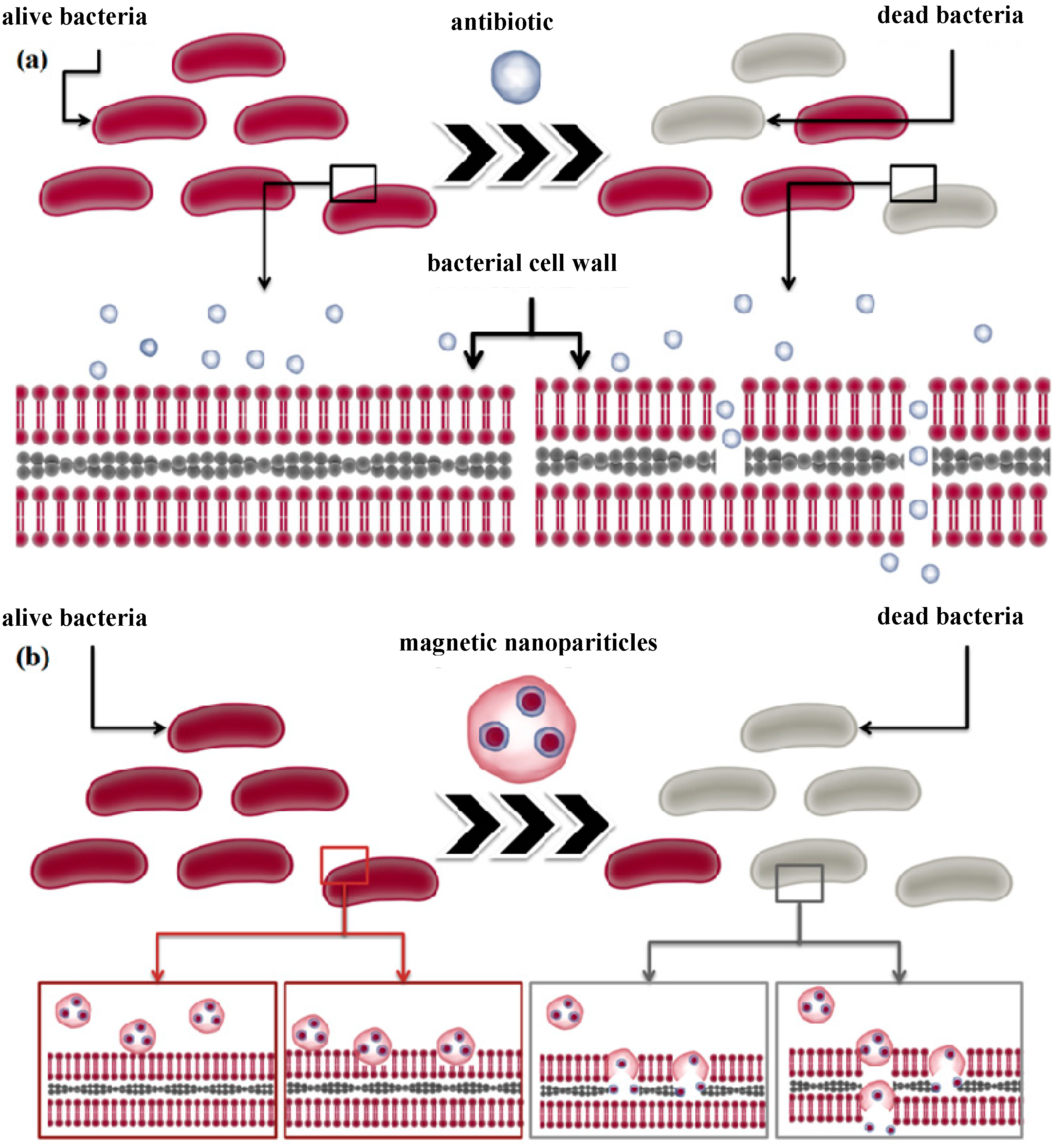 Molecules 19 12710 g003 550