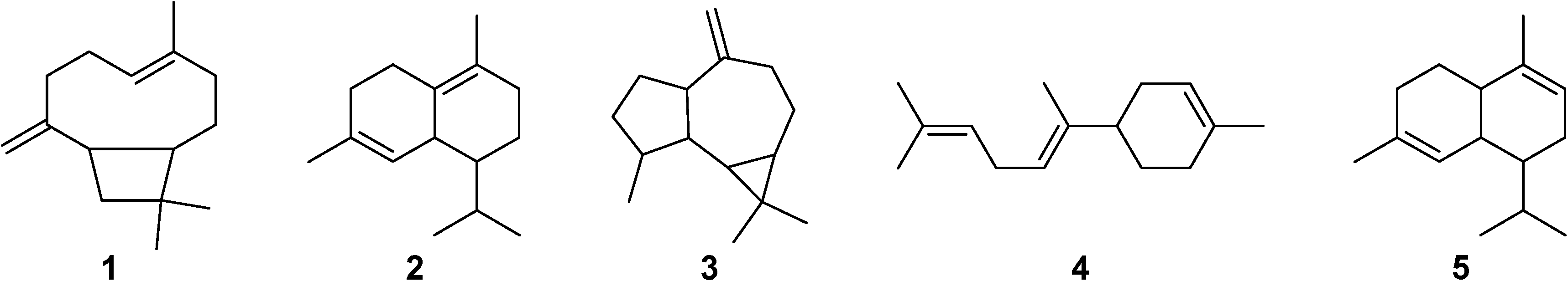 Molecules 19 12814 g001